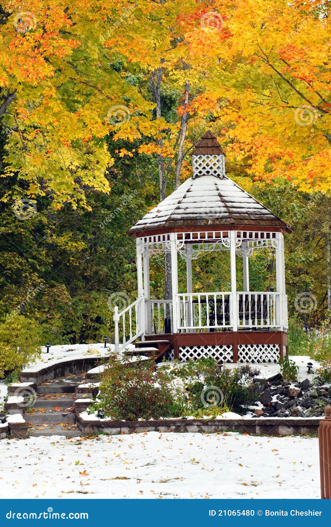 Autumn Landscaping stock photo. Image of pretty, branches 21065480