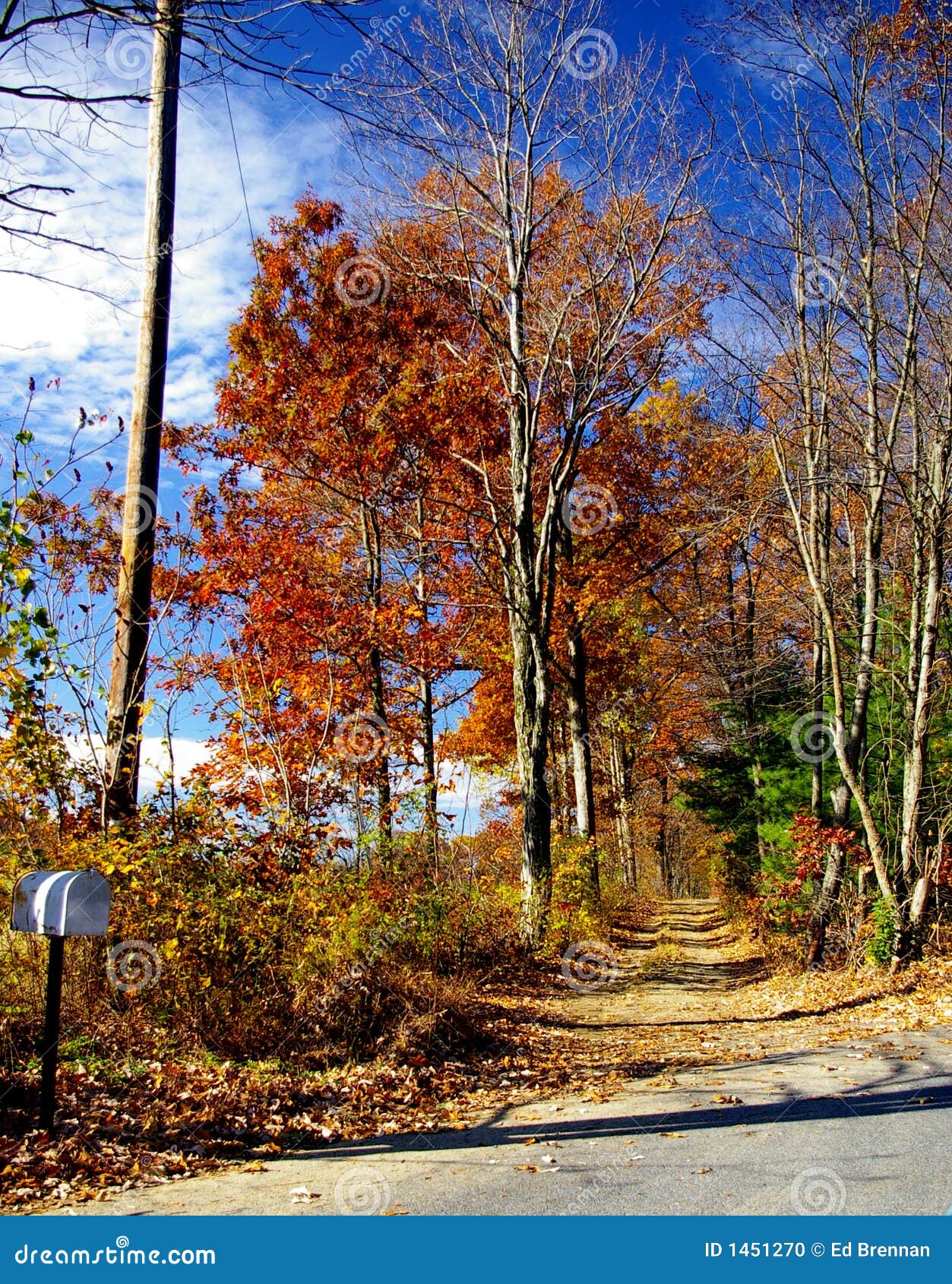 Autumn Lane stock photo. Image of unpaved, walk, tree 1451270