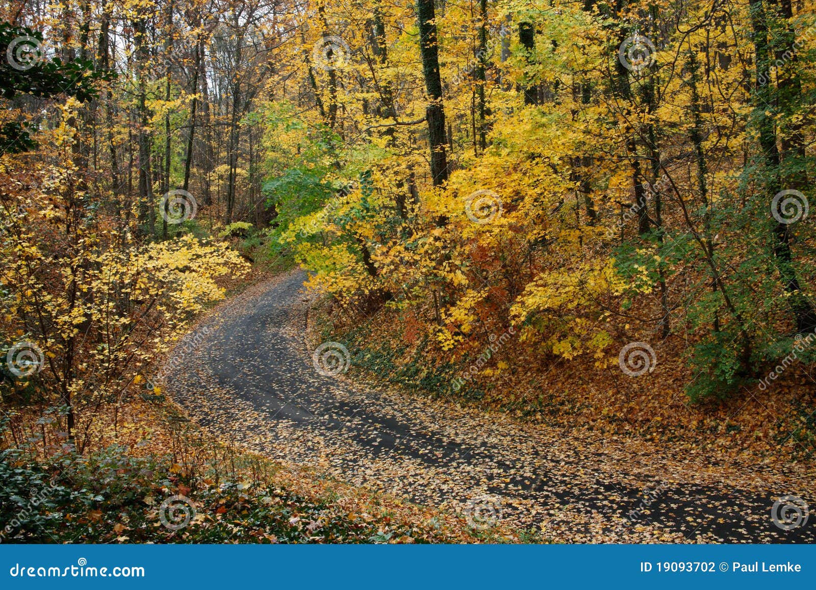 Autumn Lane stock photo. Image of peace, green, drive - 19093702