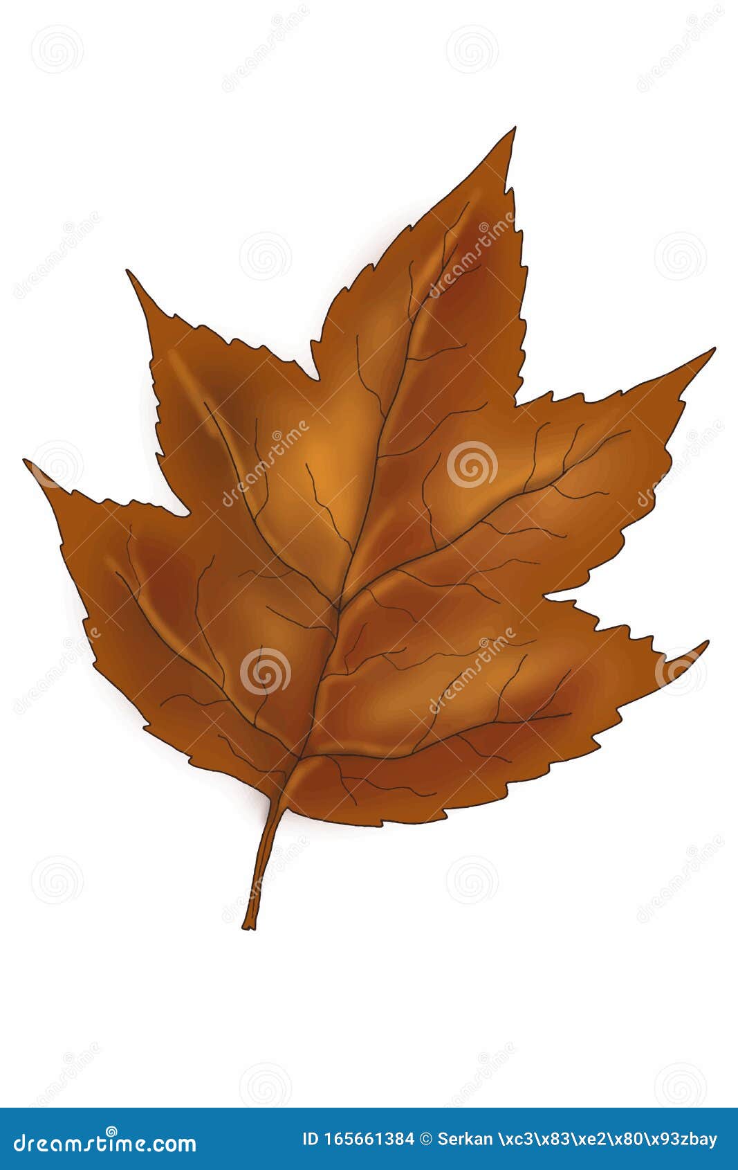 Autumn Leaf Cartoon Isolated Illustration Line Drawing Stock Illustration -  Illustration of yellow, foliage: 165661384