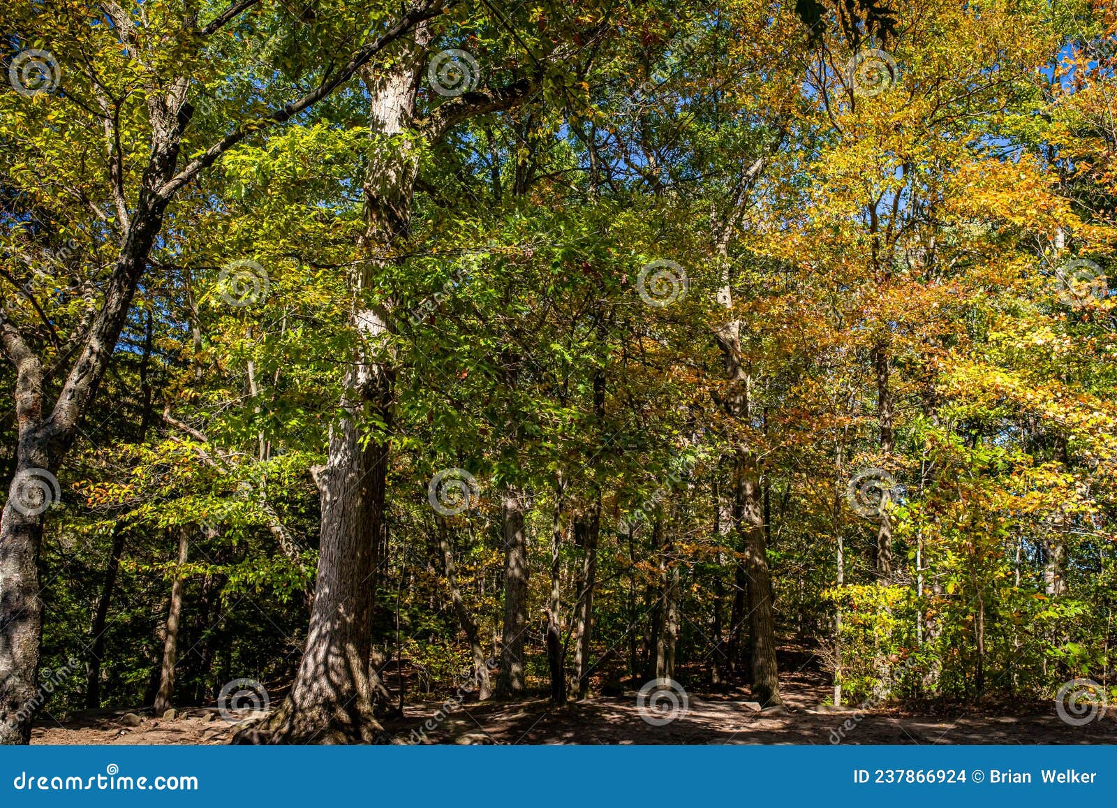 Autumn Leaf Color Change Cuyahoga National Park Ohio Stock Photo