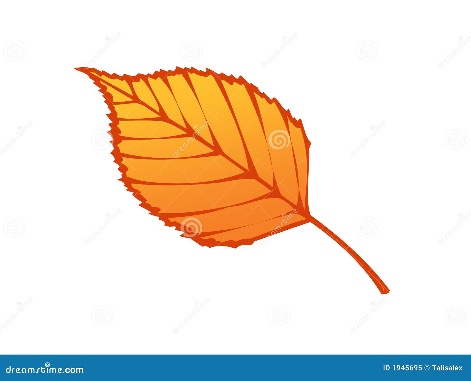 Autumn Leaf Illustration Royalty Free Stock Photo  Image: 1945695
