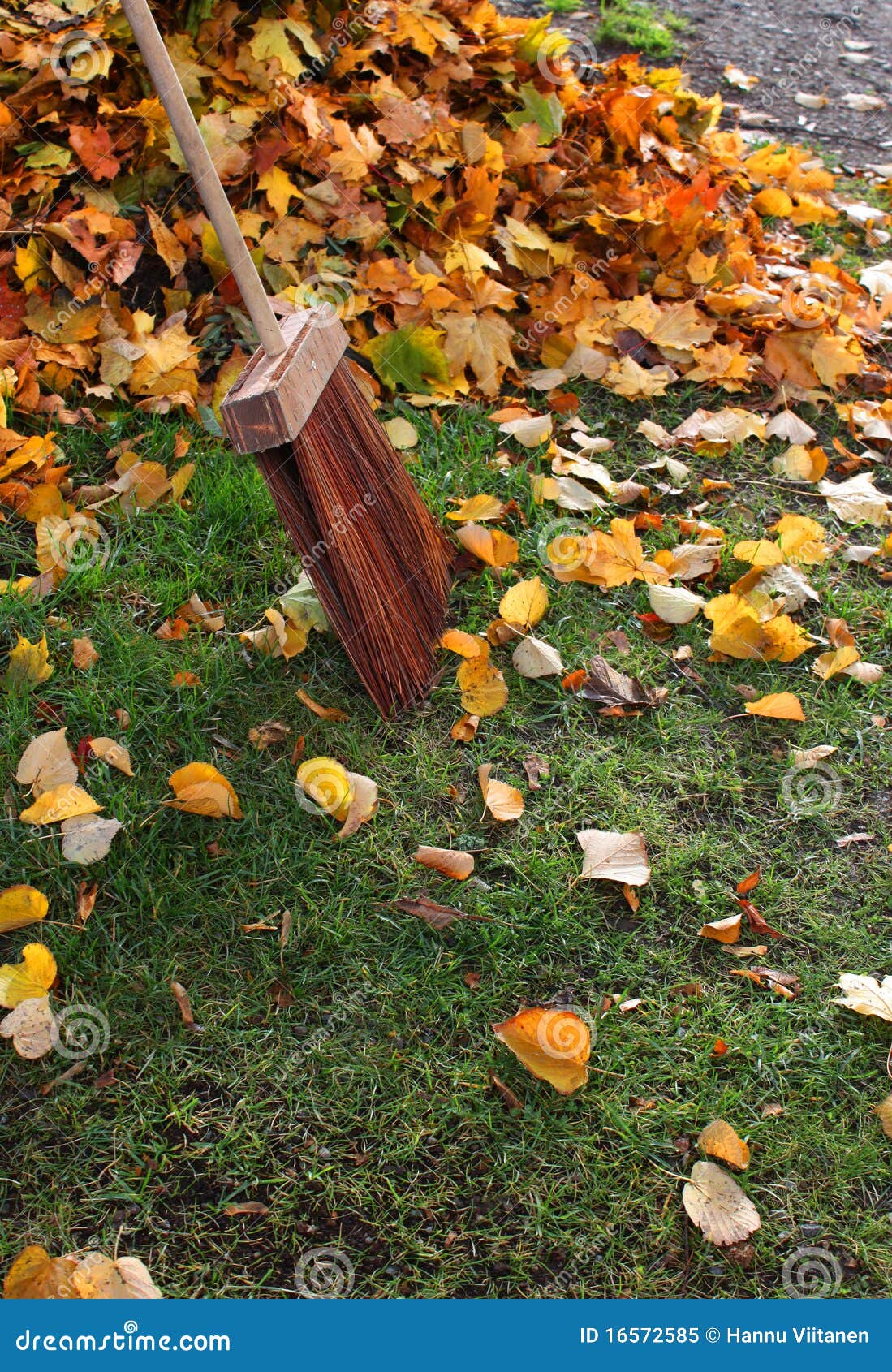 Autumn leafs broom stock image. Image of october, leaf - 16572585