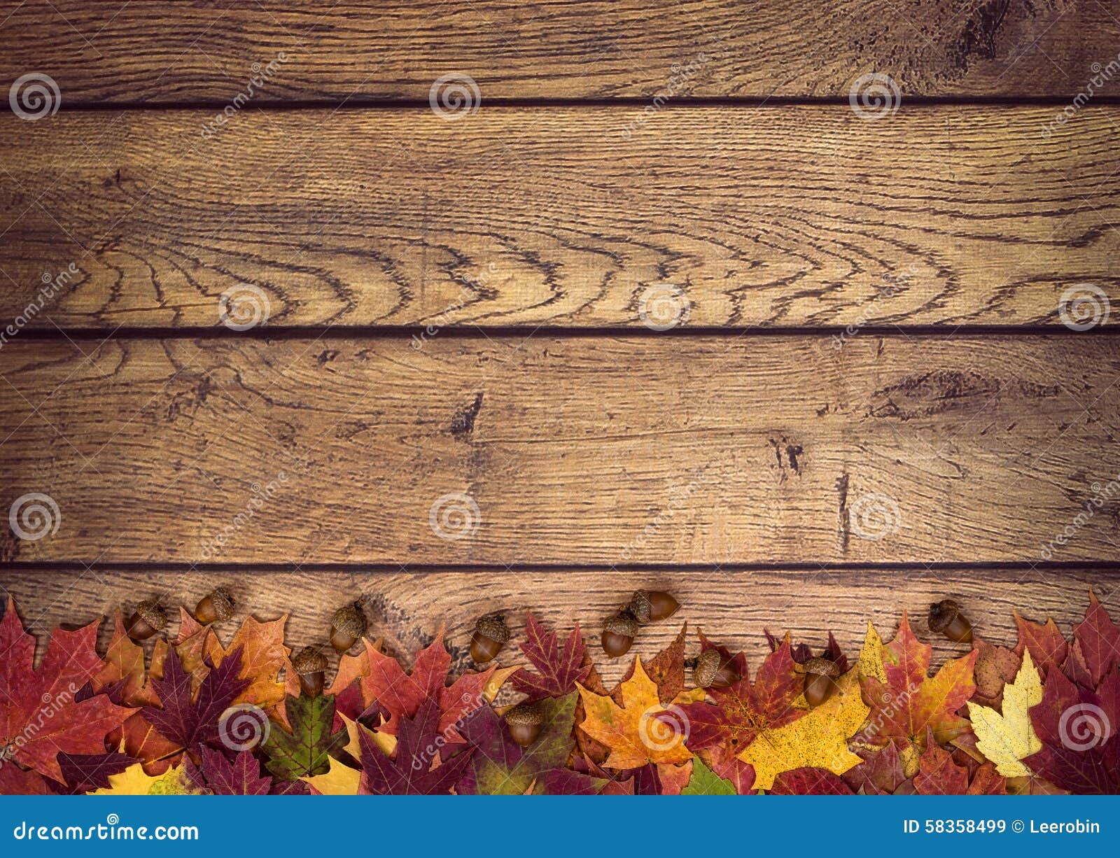 Autumn Leaves and Acorns on Rustic Wooden Background Stock Image