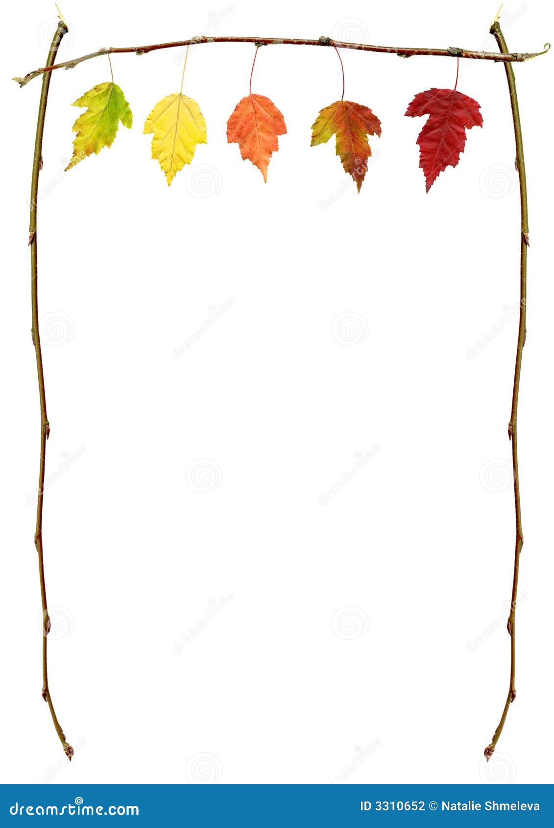 clipart tree branch borders - photo #40