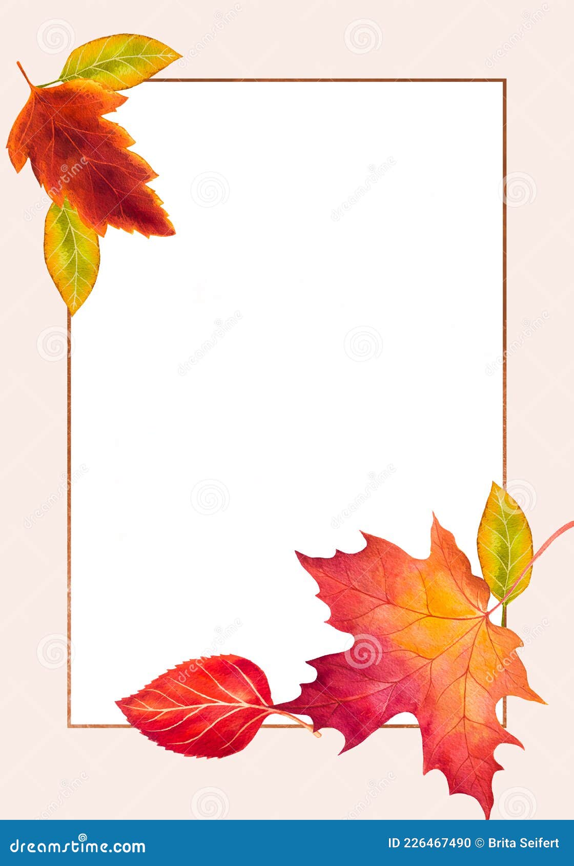 Autumn Leaves Decoration Frame, September Botanical Header or October
