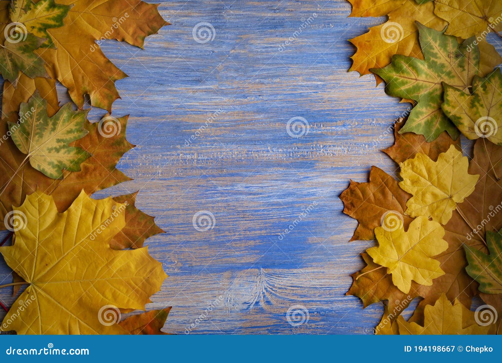 Autumn Leaves Fall Rustic Wood Blue Background Stock Image - Image of