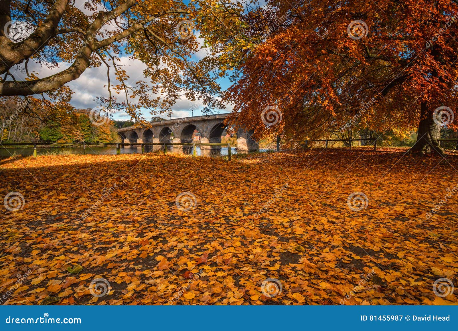 autumn leaves and hexham bridge