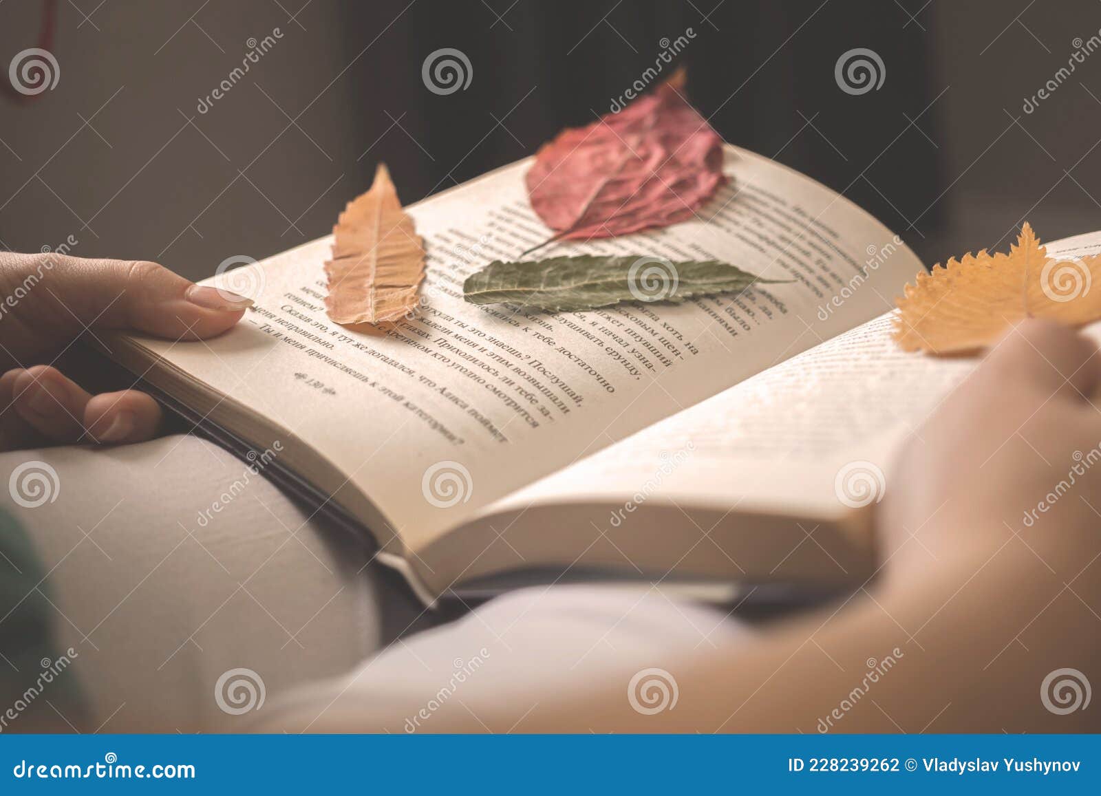 autumn leaves on old book in girl& x27;s hand, cozy autumn background photo