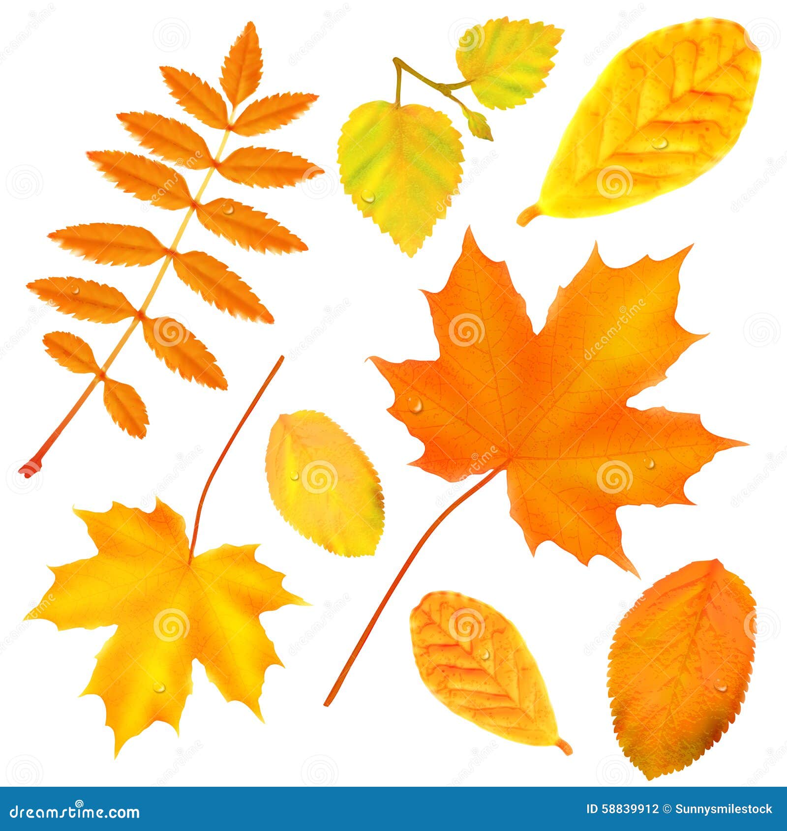 Autumn leaves stock photo. Image of golden, background 58839912