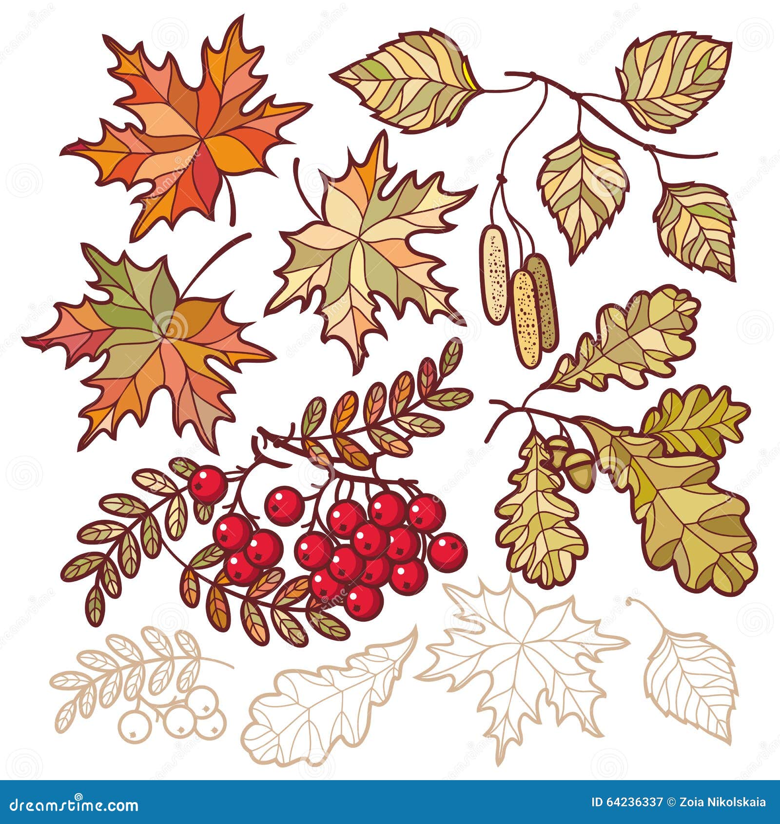 Johanna Basford - How to Draw an Autumn Leaf… ...Or a Fall leaf if you are  across the pond! Grab a pencil and give this easy tutorial a shot! Draw  steps 1-4