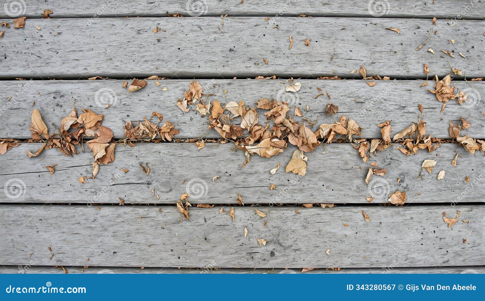 autumn leaves trapped in gaps of wooden deck adding texture and natural charm