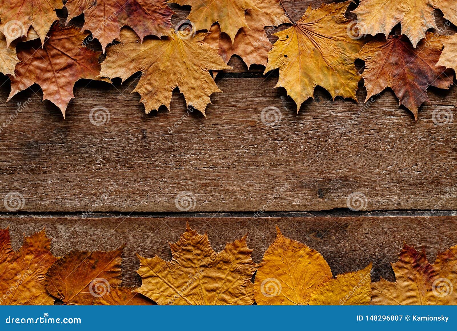 Autumn Background September Wallpaper Fall Theme Stock Vector Royalty  Free 468721211  Shutterstock