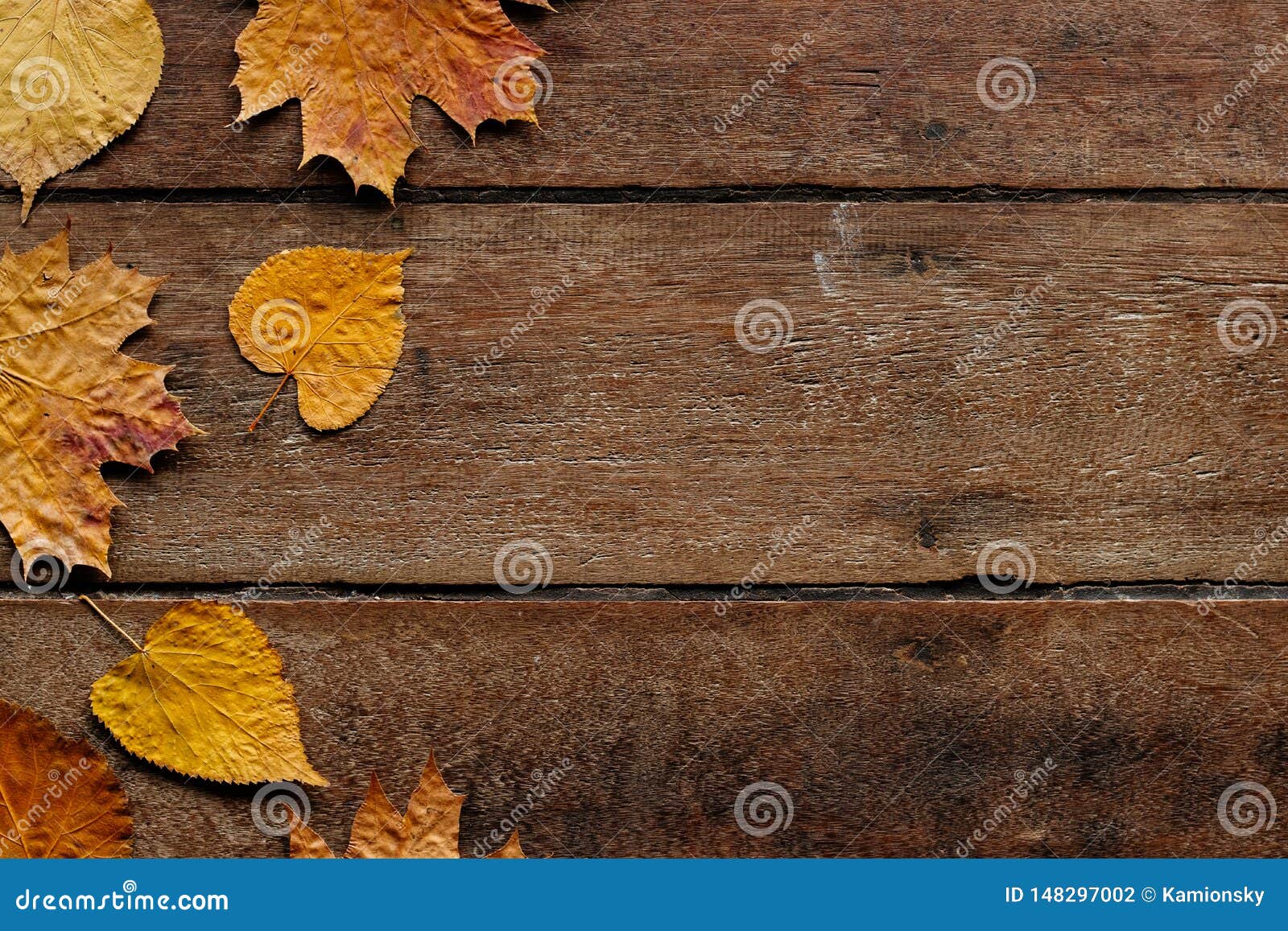 50 FREE Pretty September Wallpaper Designs For 2022