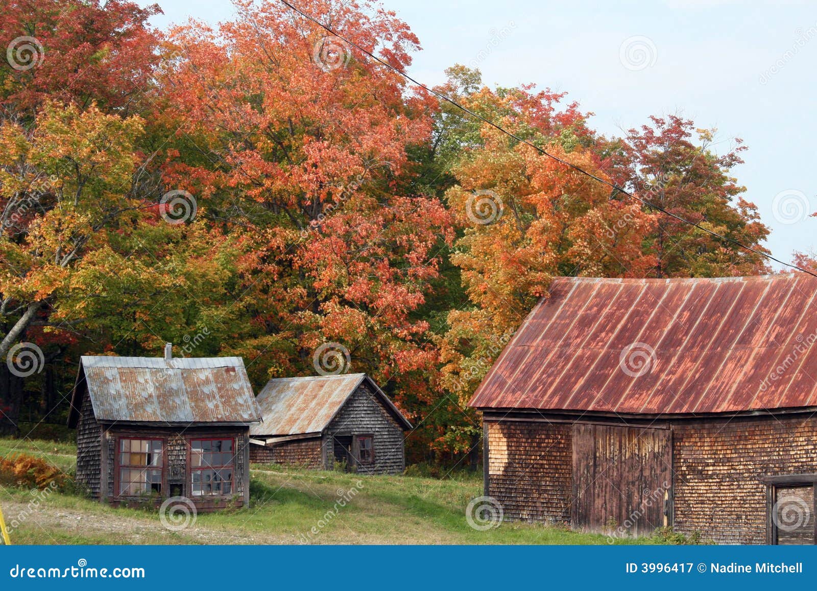 autumn in maine countryside