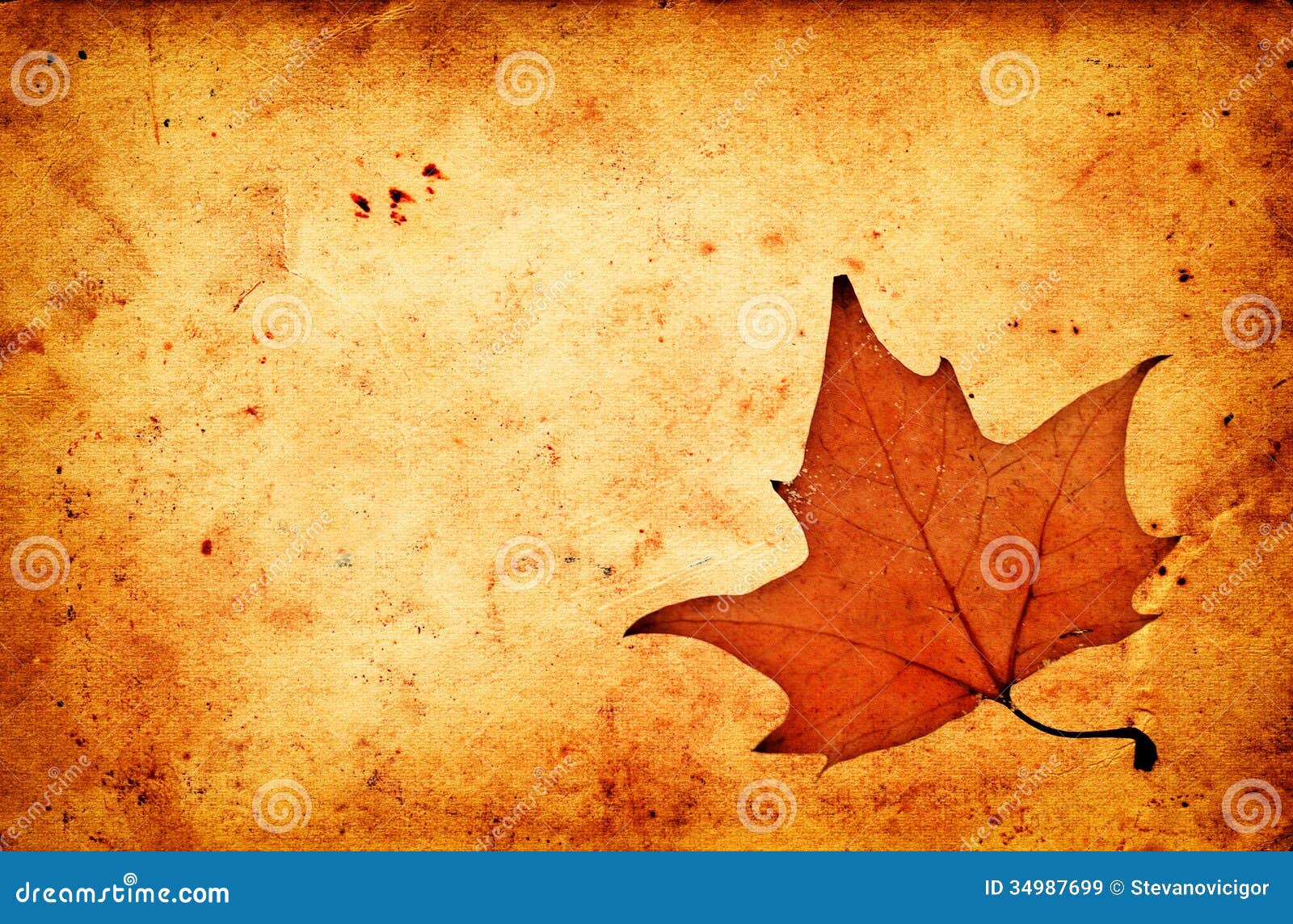 Autumn Maple Leaf On Grunge Old Paper Stock Image - Image of fall