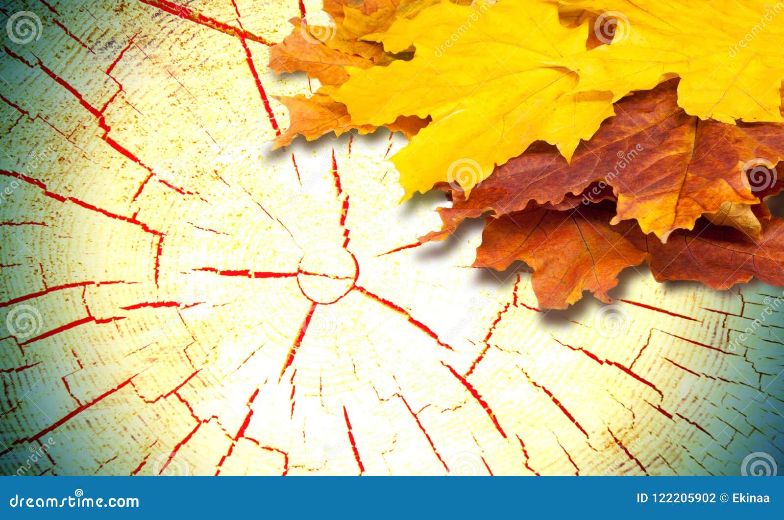 maple filetools text maple filetools text