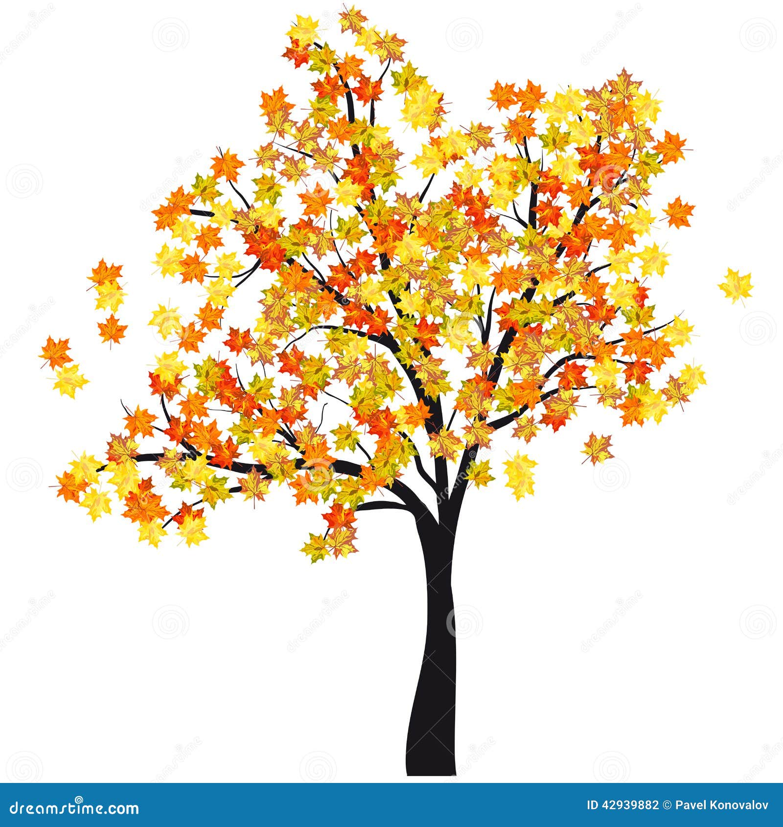 clipart maple tree - photo #32