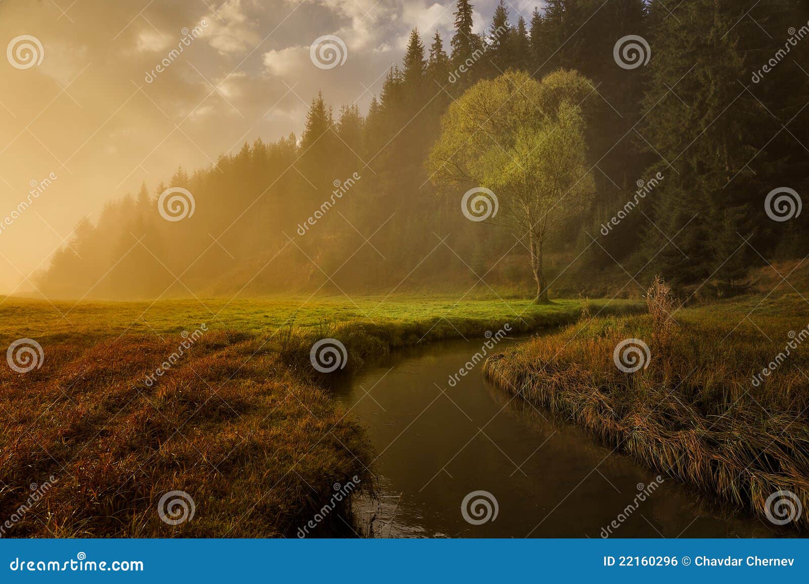 autumn meadows