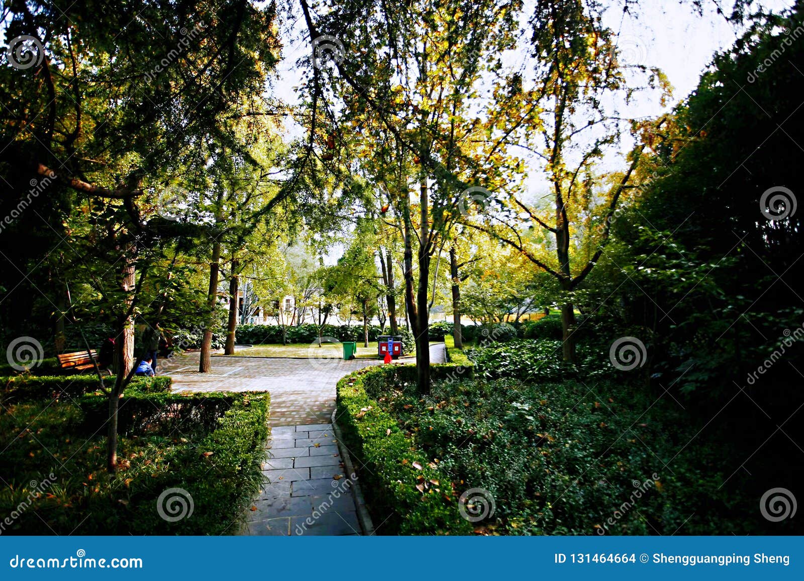 autumn memory zhengzhou