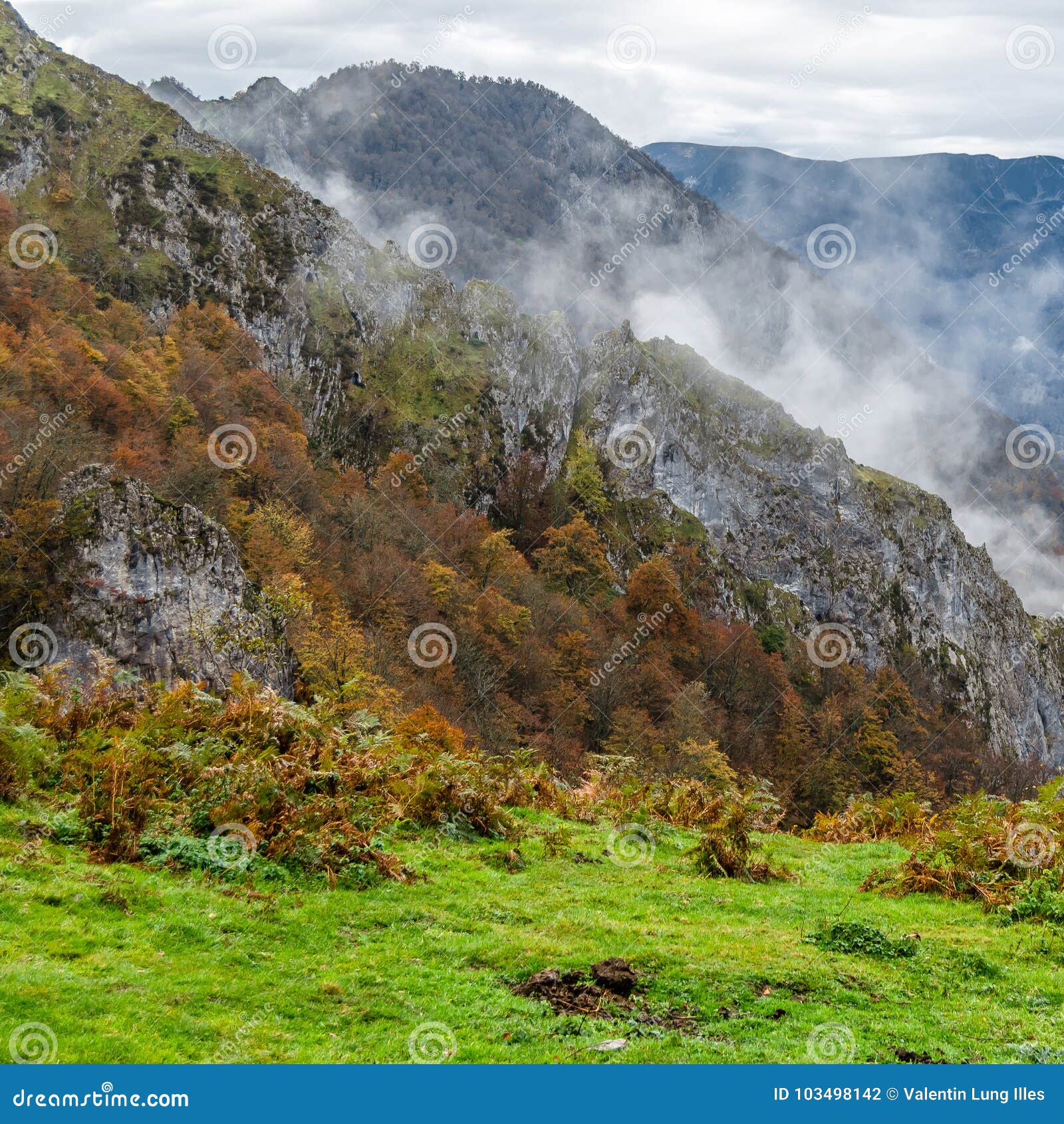 autumn mountain landscape