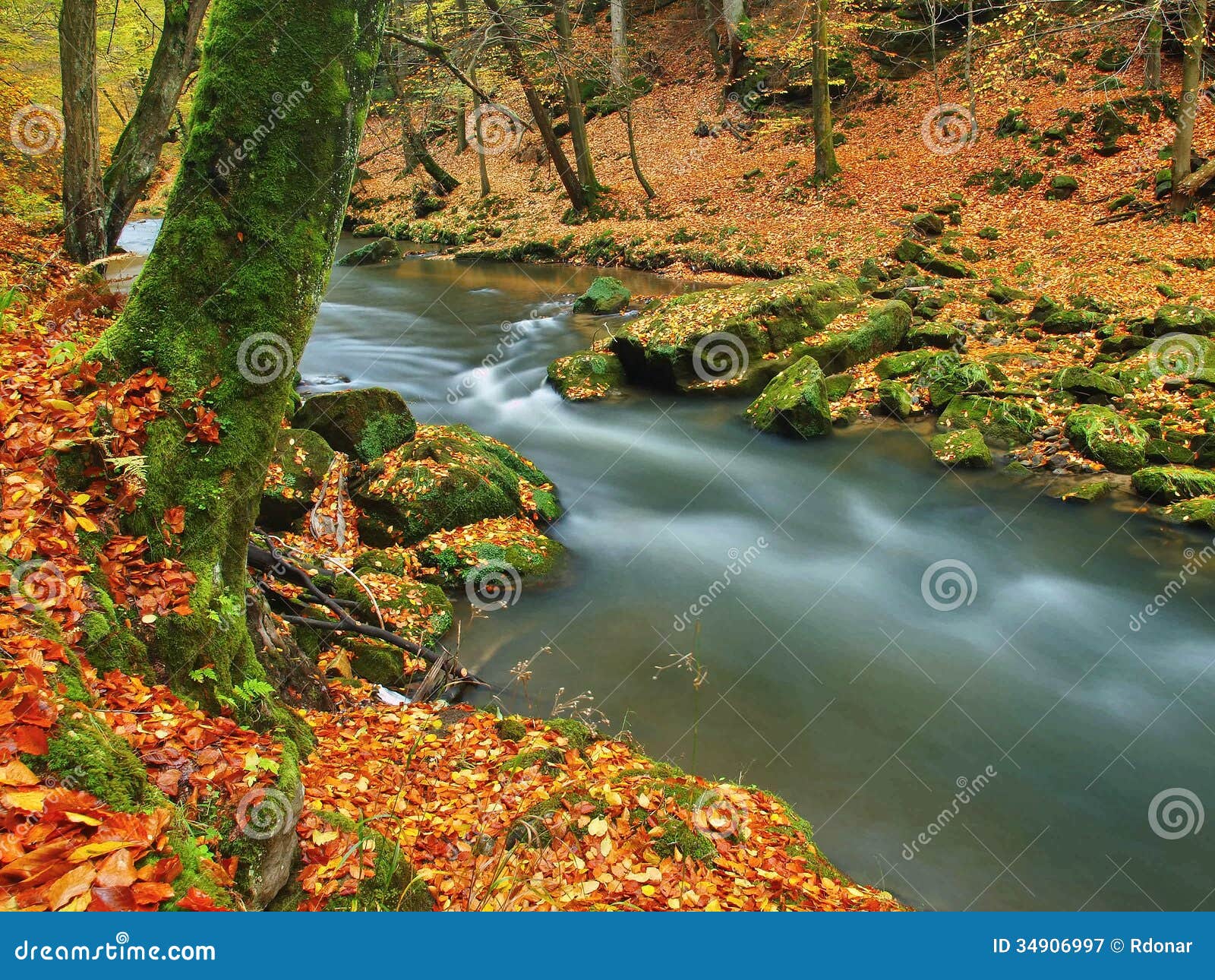 Autumn Mountain River With Blurred Waves Fresh Green Mossy Stones