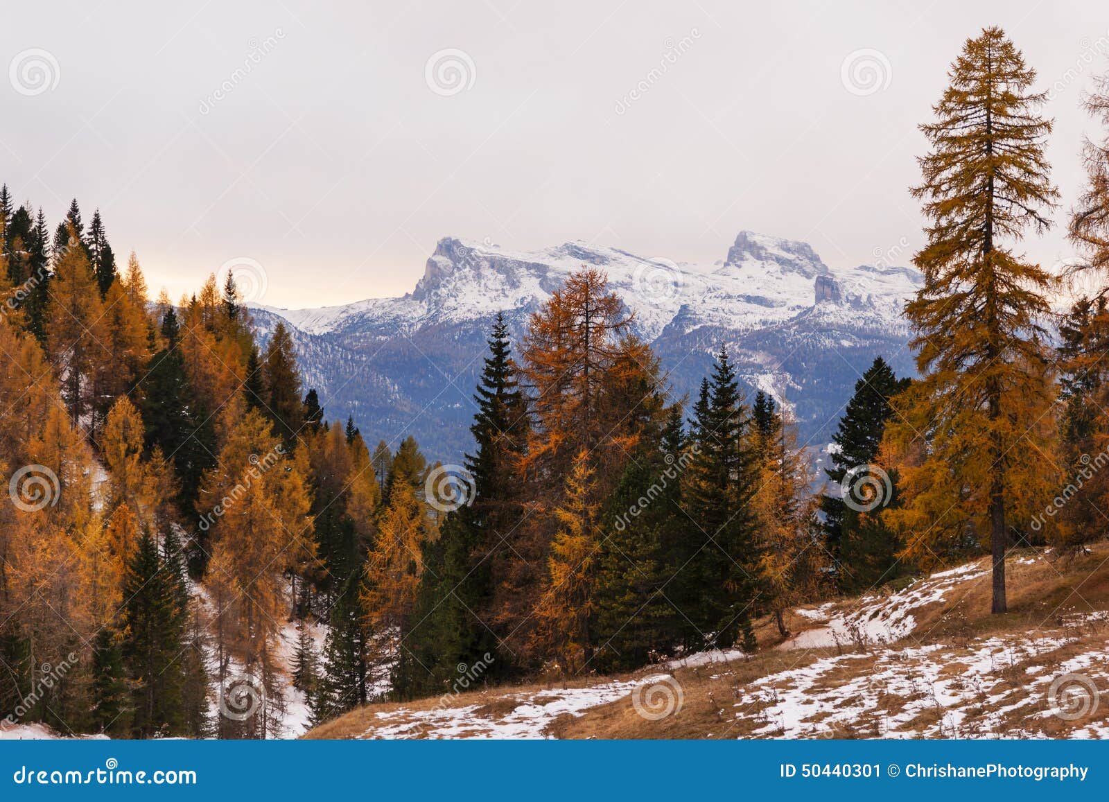 autumn in the mountains near cortina, italy