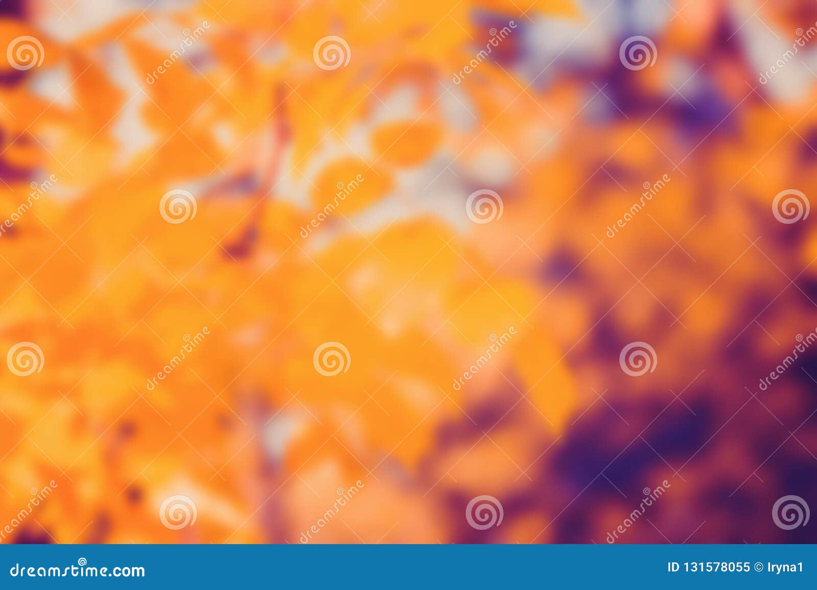 Autumn Nature Blur Background Stock Image - Image of natural, bokeh:  131578055