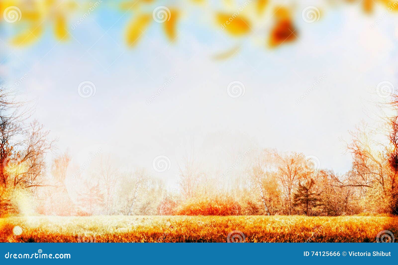 Autumn Nature Garden Or Park Background With Lawn Sky And 