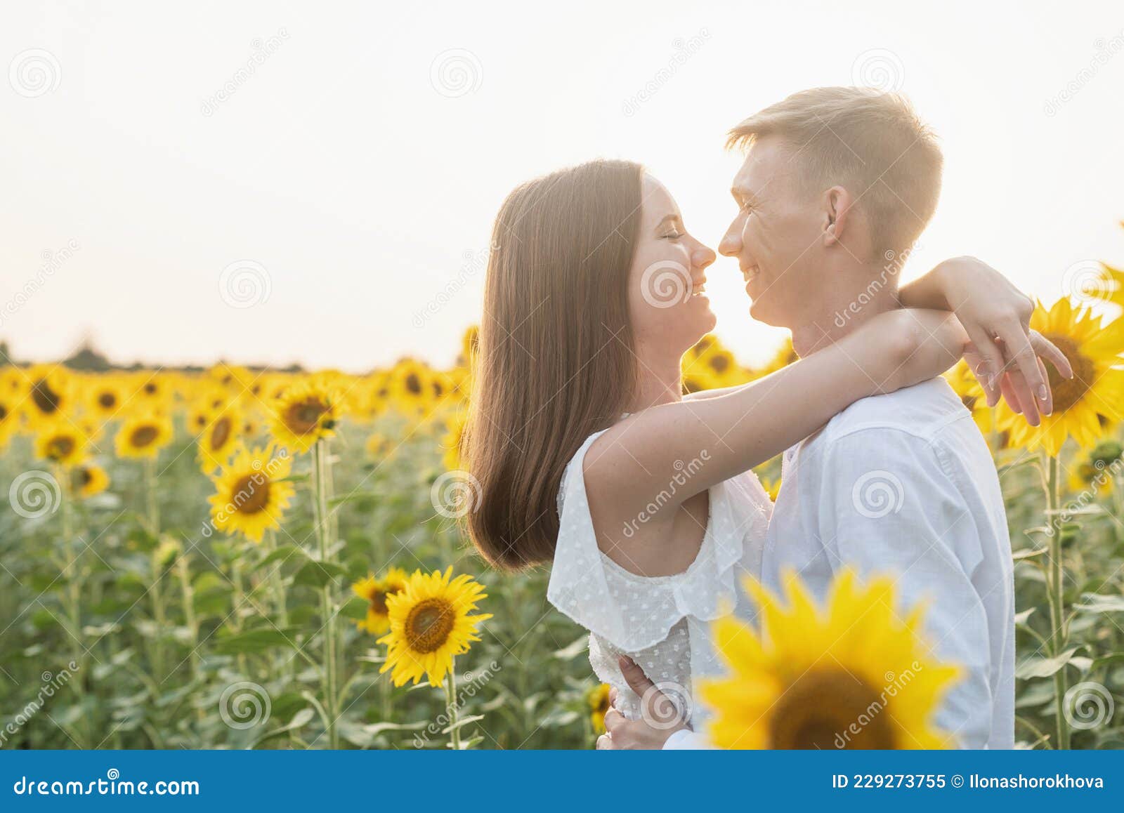 Beautiful Couple Kissing In Sunflowers Fields Stock Image Image Of Relationship Pretty 229273755 