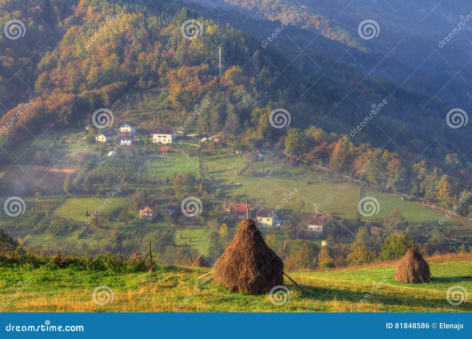 autumn near bajina basta, western serbia