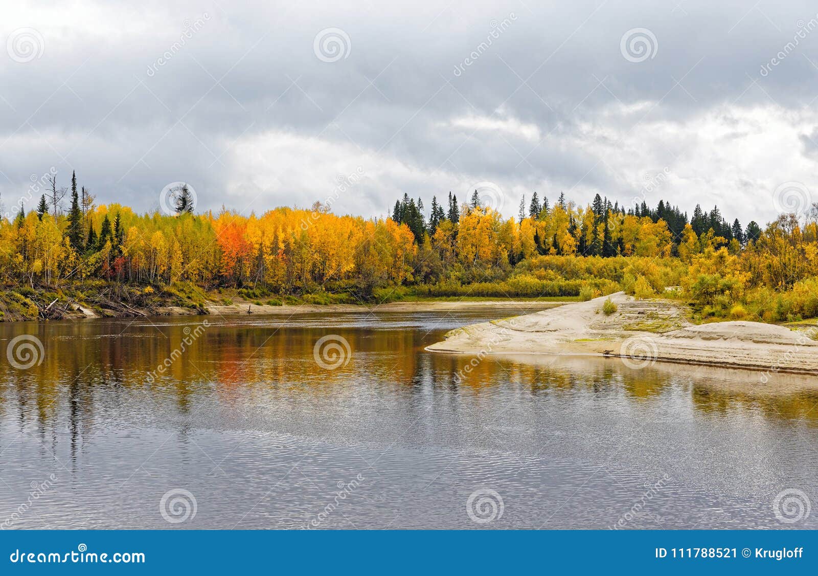 Autumn Noon In The Siberian Taiga View From The River Stock Image