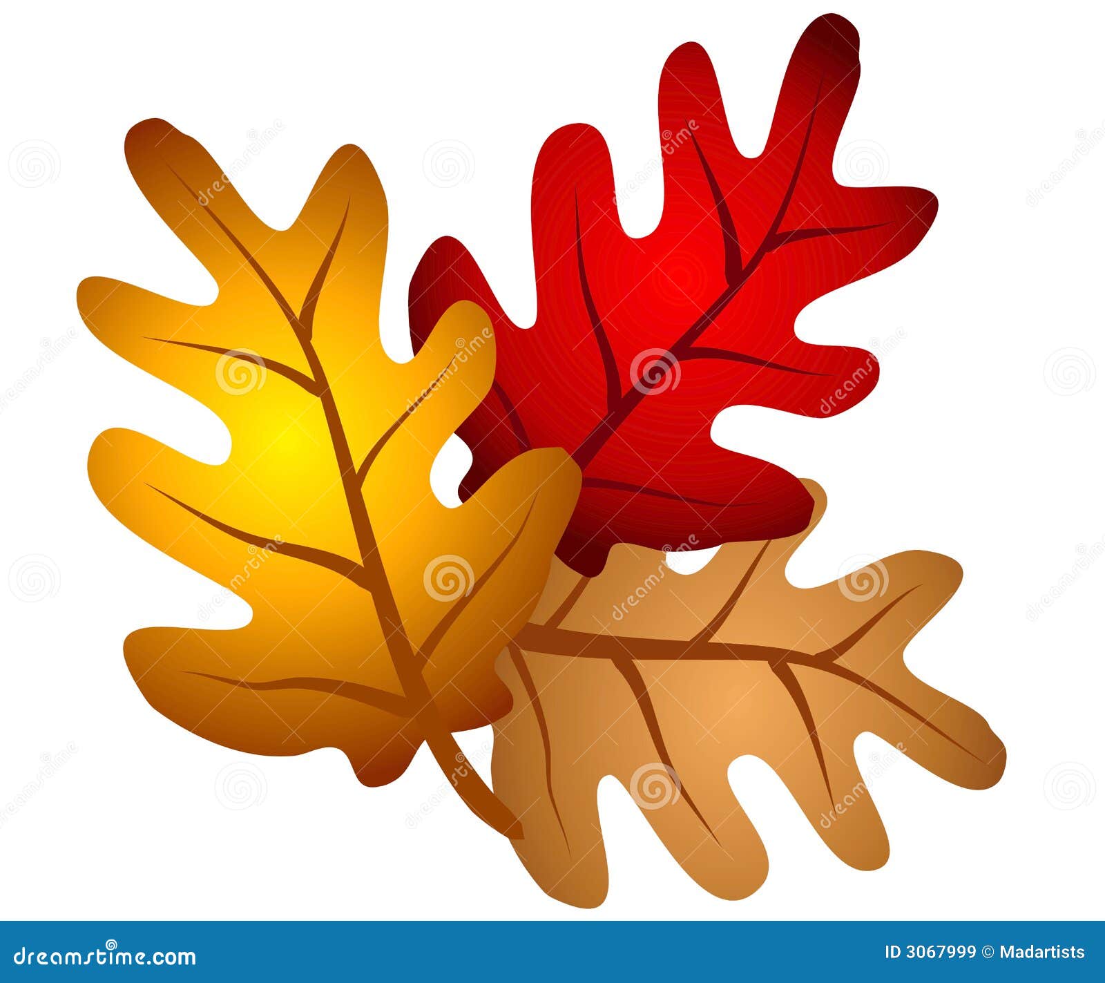 free clip art oak leaf - photo #41