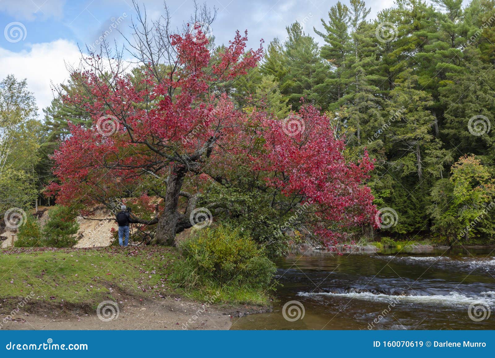 Autumn in Ontario stock image. Image of lake, cloud 160070619