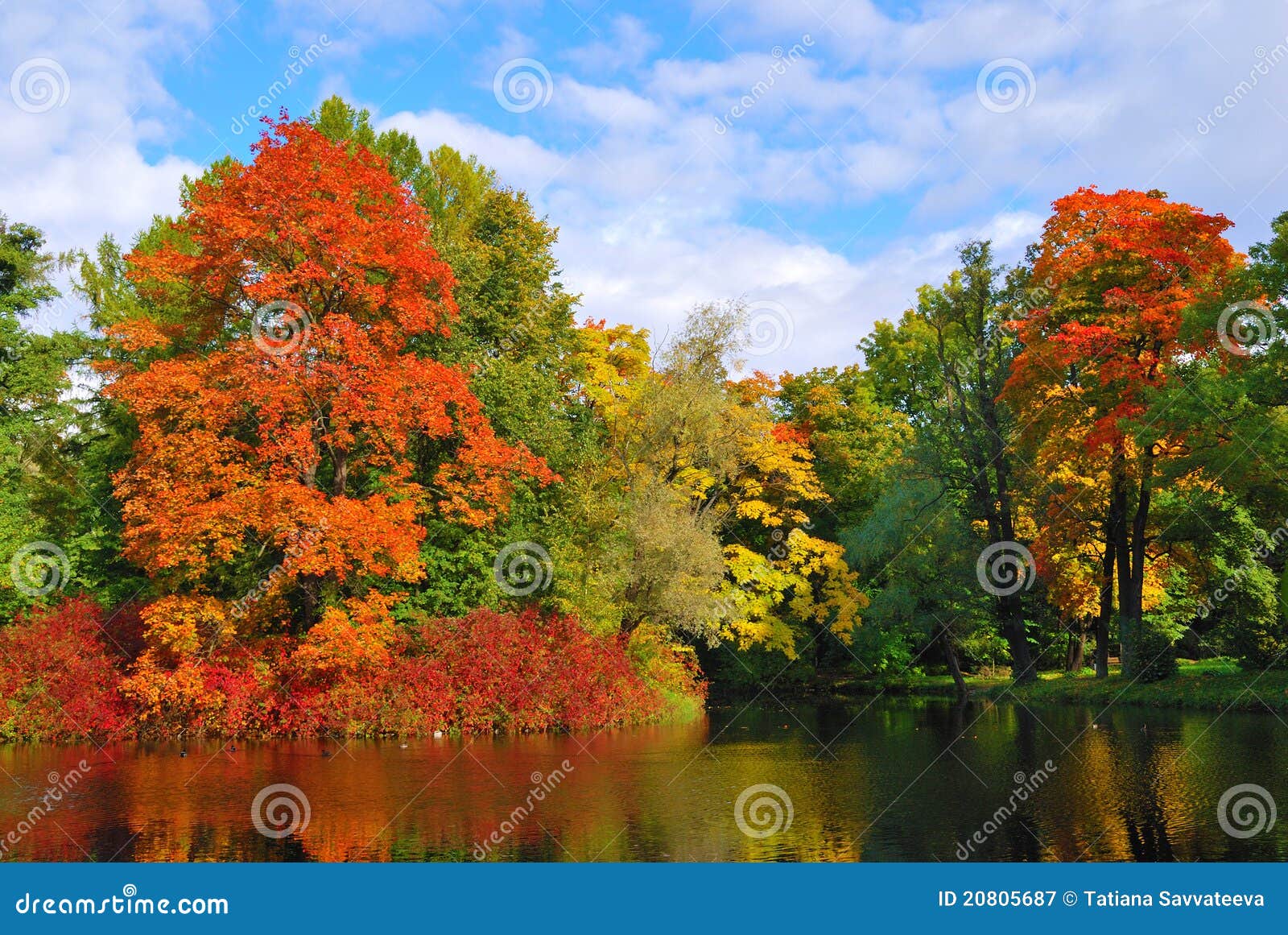 Autumn park stock image. Image of pond, autumn, trees - 20805687