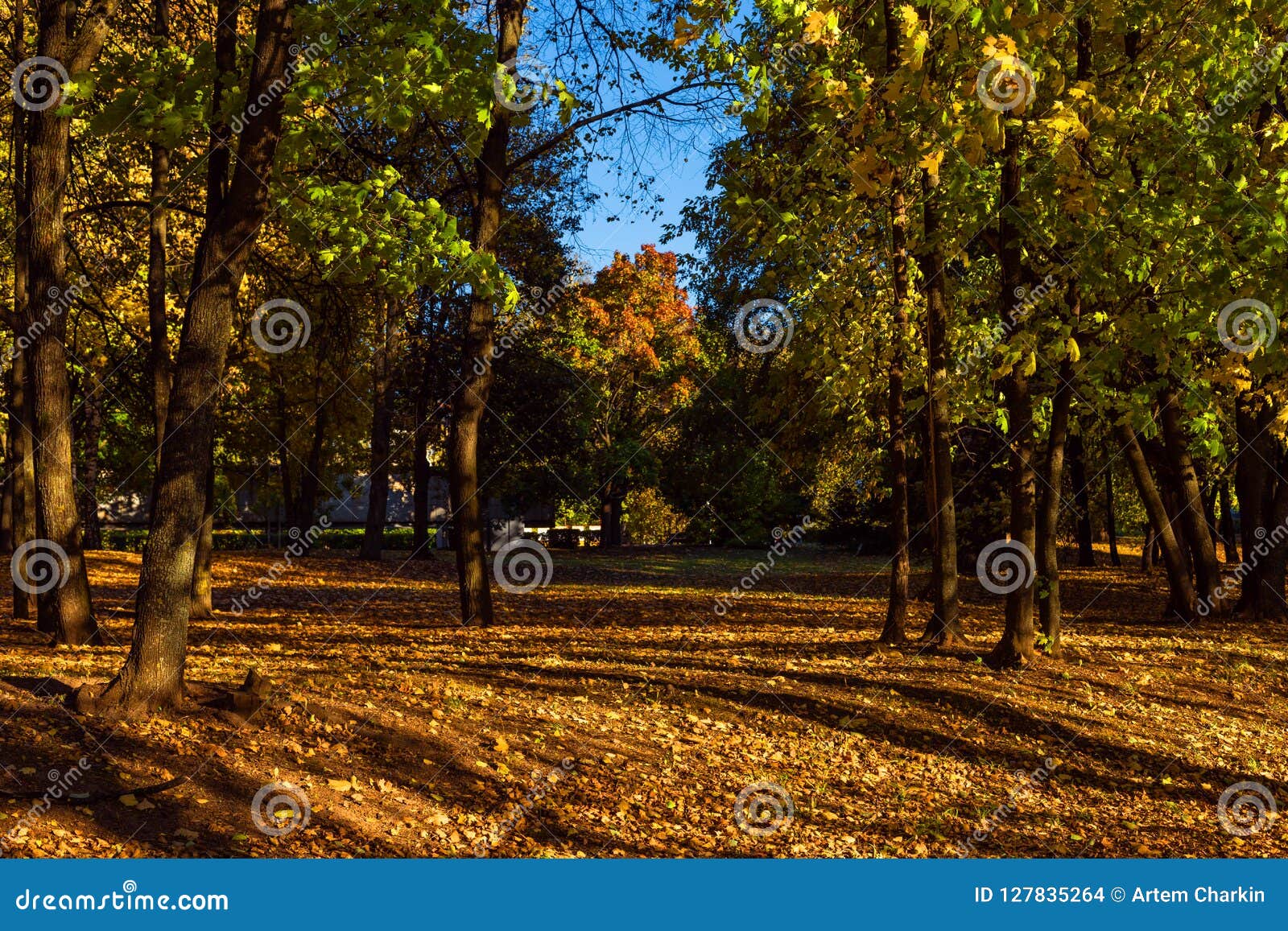 fallen leaf park fallen leaf park