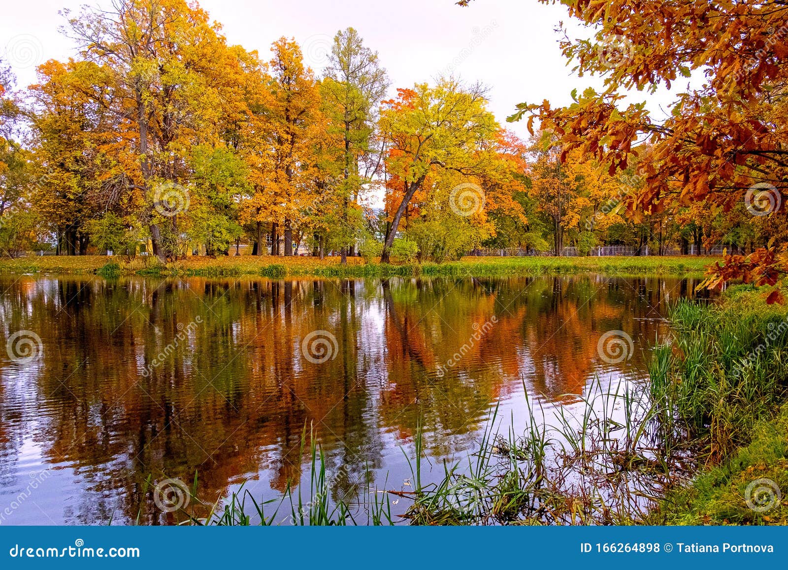 In the Autumn Park Trees with Colorful Foliage are Reflected in the ...