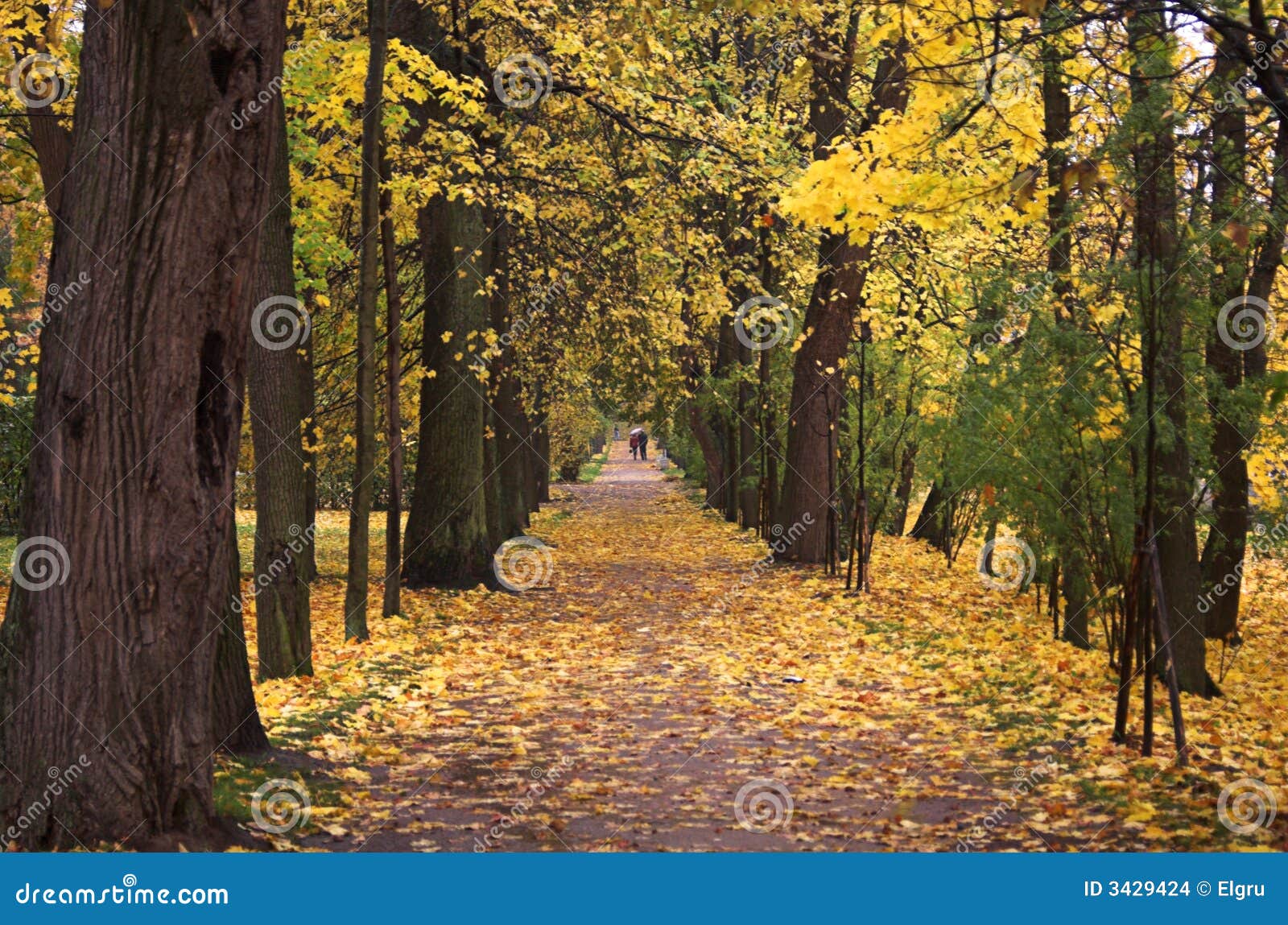 207,471 Autumn Park Walk Stock Photos - Free & Royalty-Free Stock