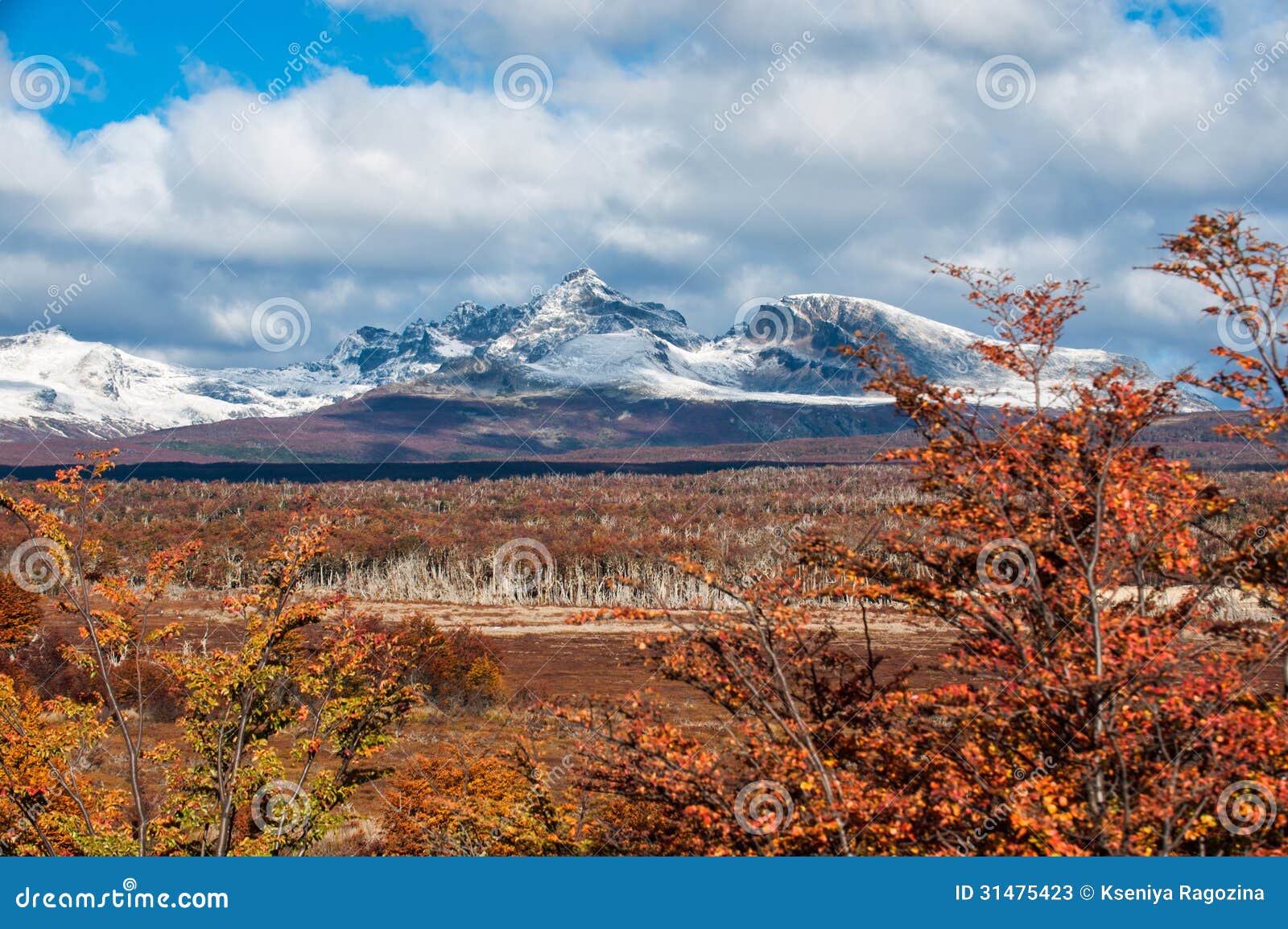 autumn in patagonia. cordillera darwin, tierra del fuego