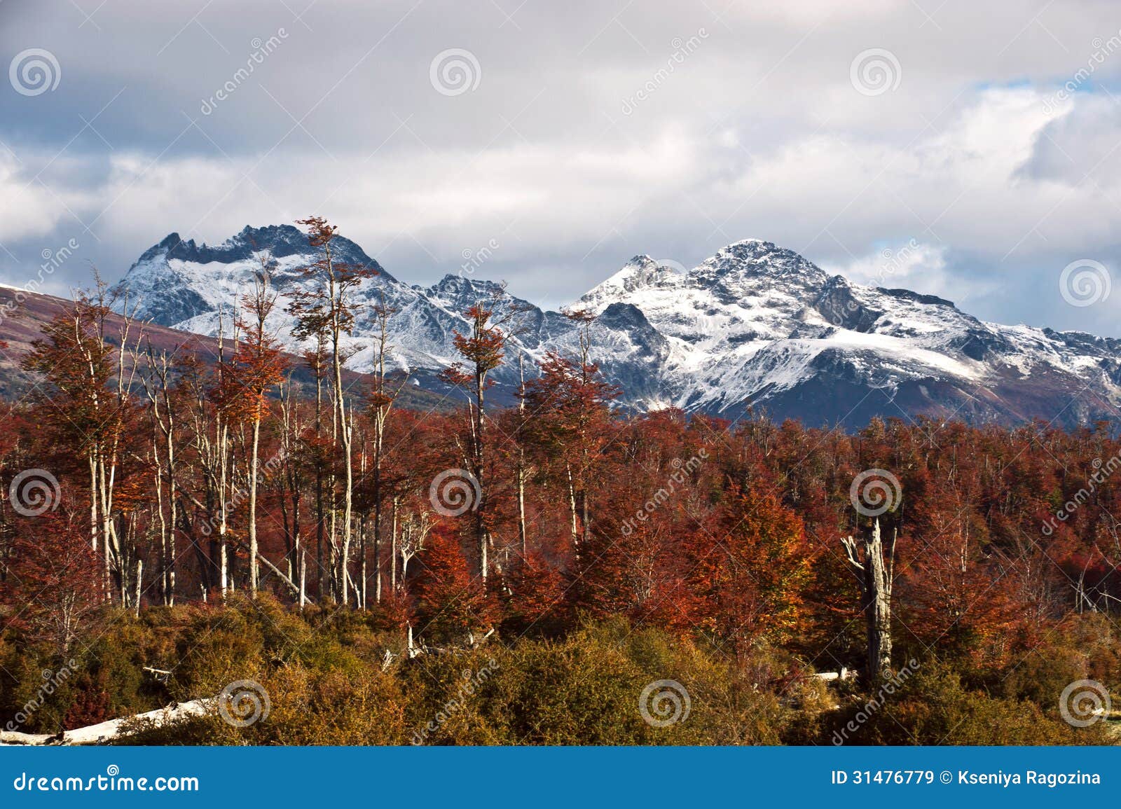 autumn in patagonia. cordillera darwin, tierra del fuego