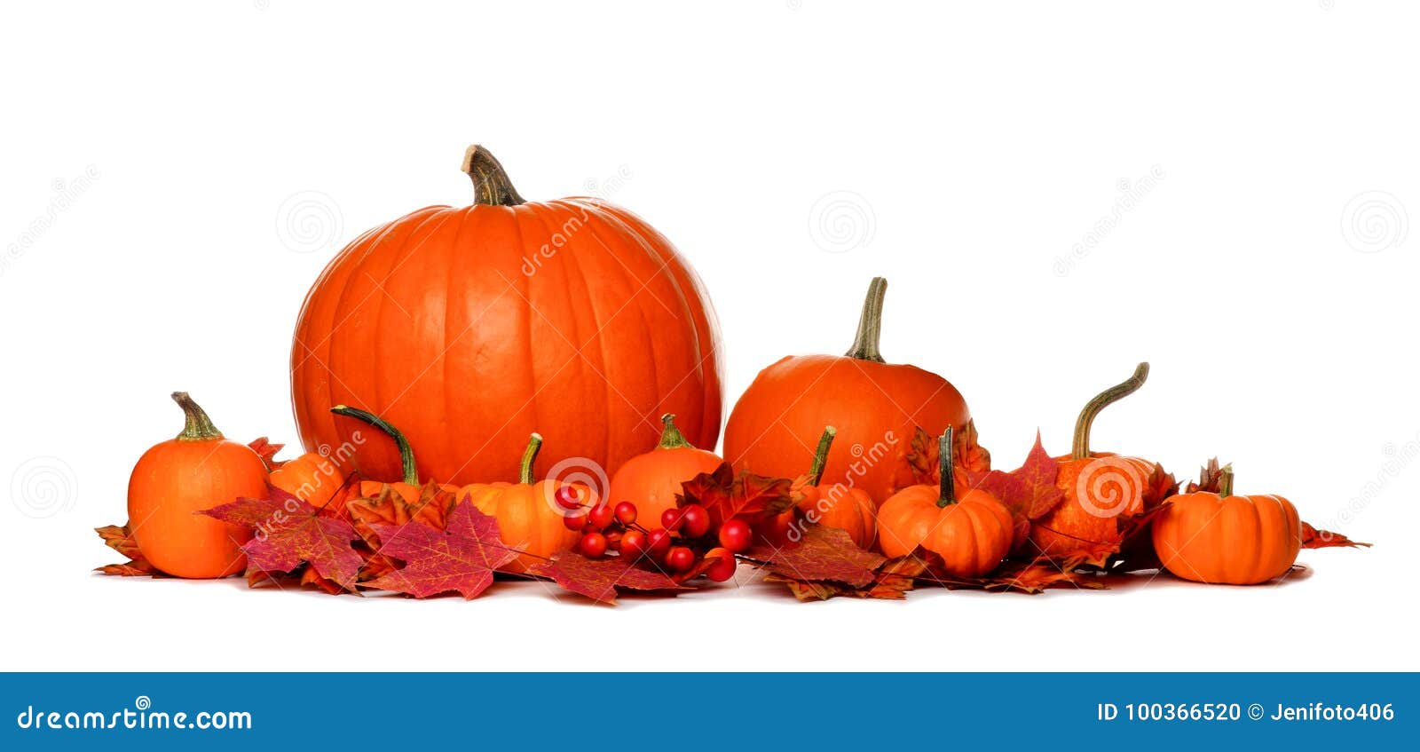 4 525 Pumpkins Fall Leaves Border Photos Free Royalty Free Stock Photos From Dreamstime