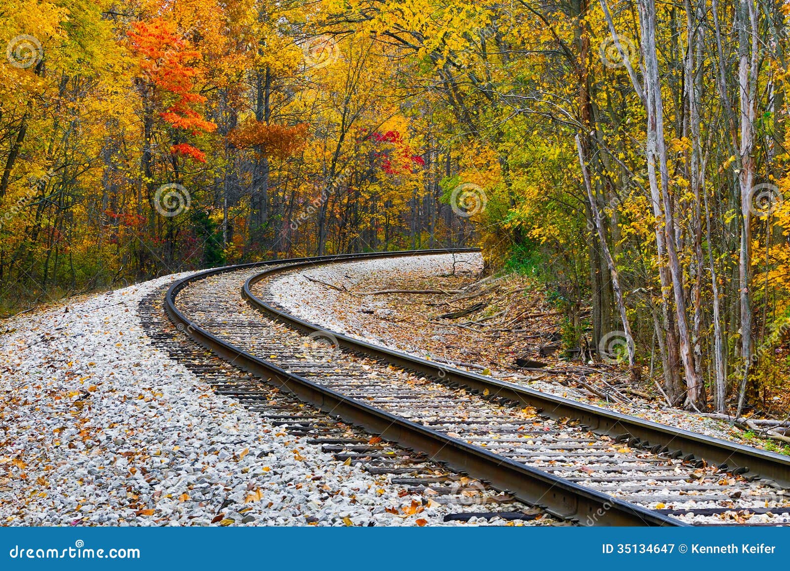 Railroad track curve around the bend and out of sight through trees 