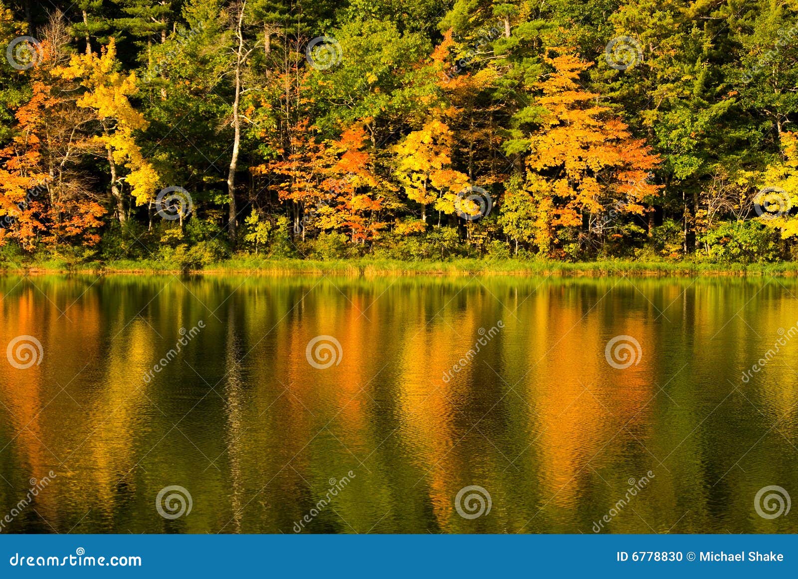 Autumn Reflections stock photo. Image of orange, water - 6778830