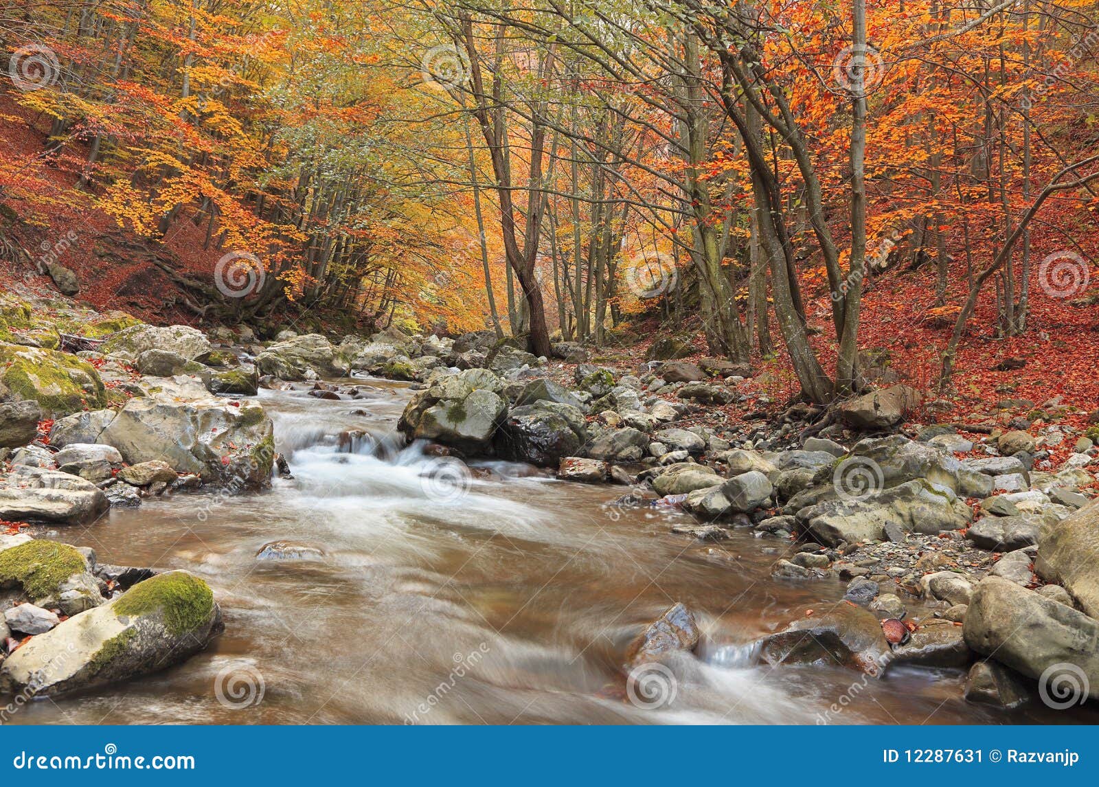 Autumn River Stock Image Image Of Landscape Stones 12287631