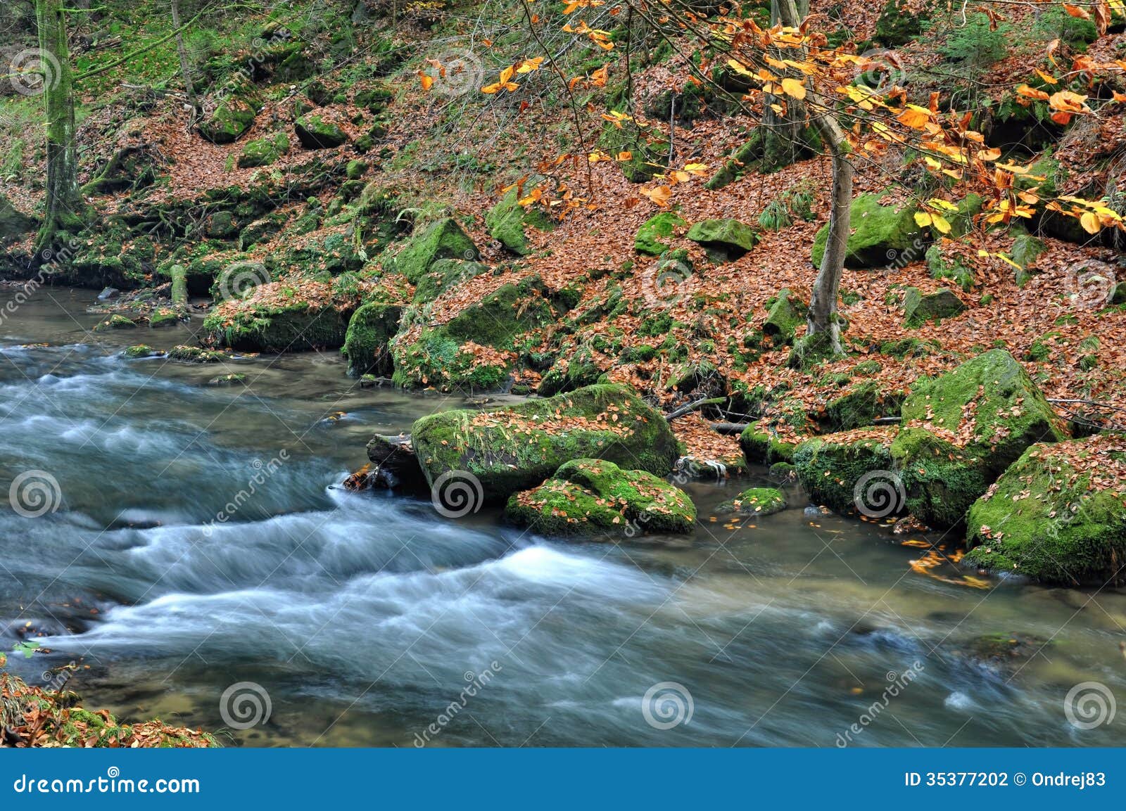 Autumn River With Stones Stock Photo Image Of Mountain 35377202