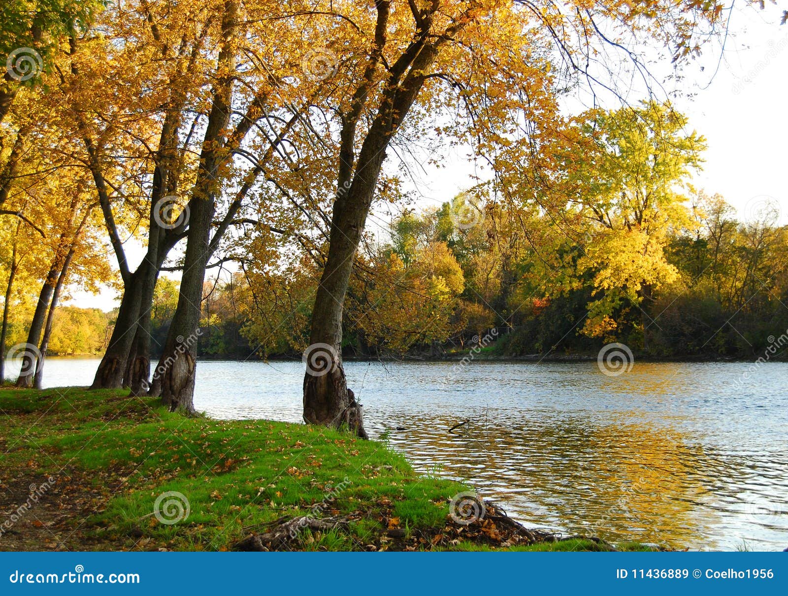 autumn riverbank landscape