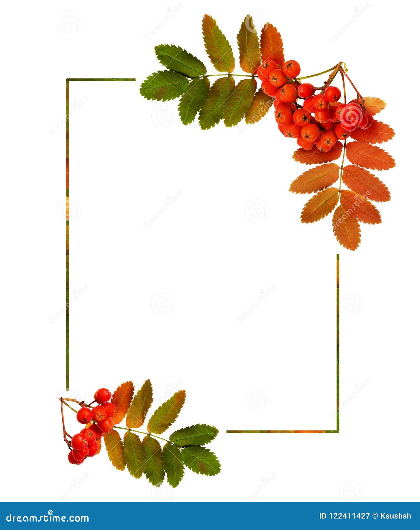 autumn rowanberries and leaves in a corner arrangements with a f