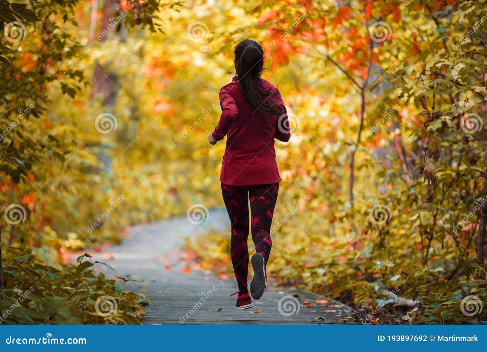 Autumn Run Active Fit Runner Woman Jogging in Foliage Forest Woods of ...