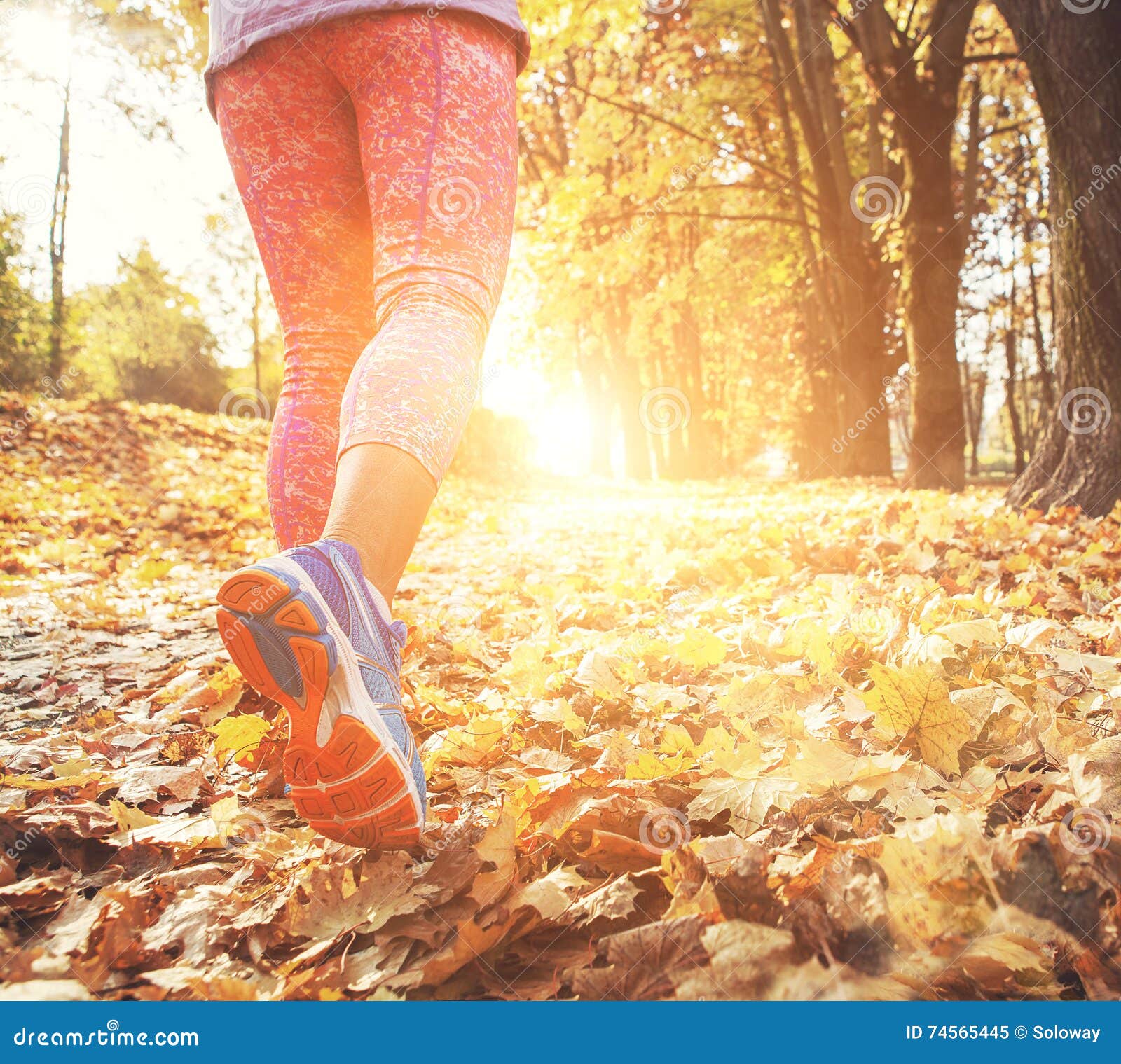 Autumn Runner Legs Close Up Image Stock Image - Image of autumn ...