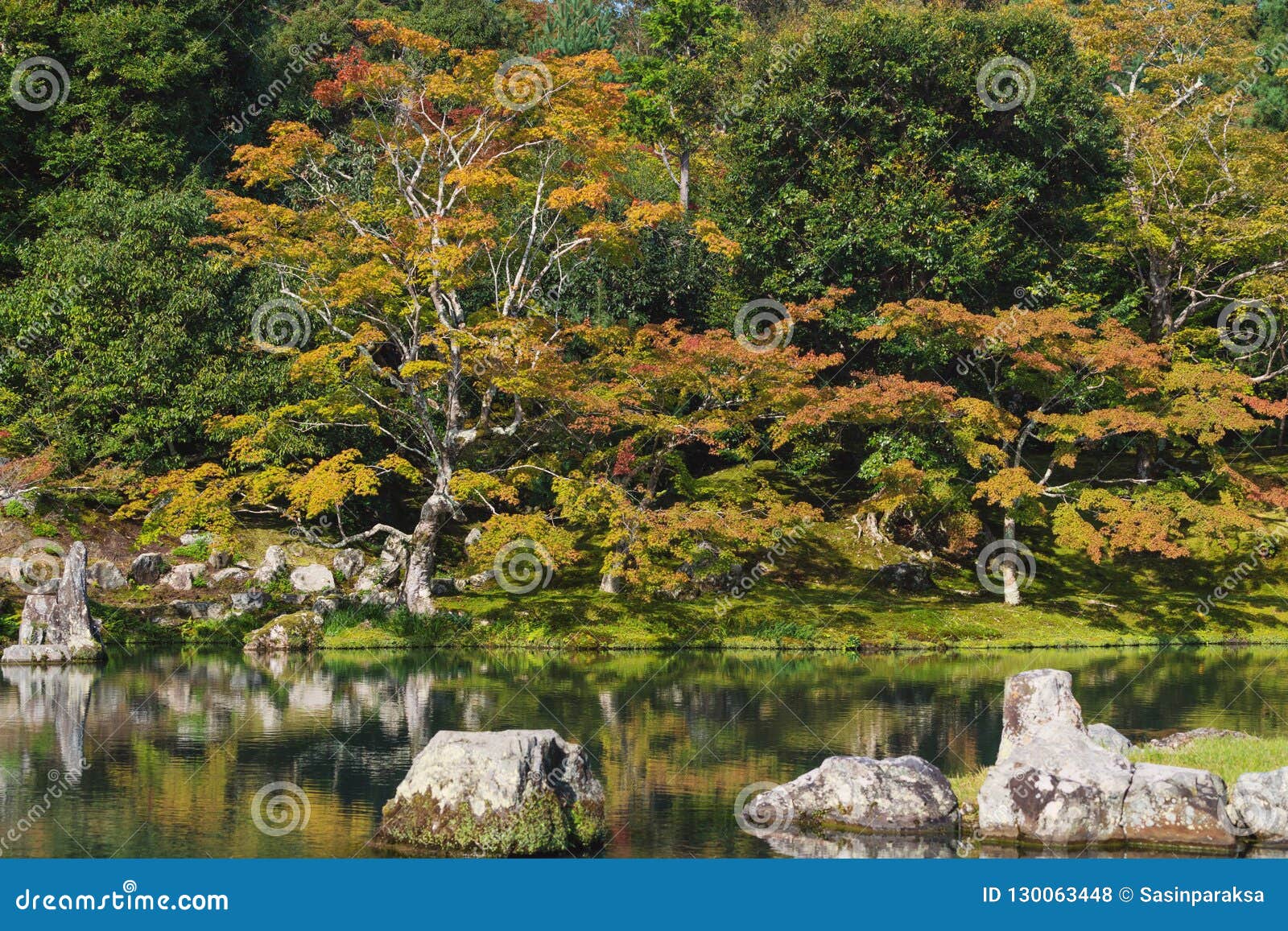 autumn`s coming, colourful trees season changed in ginkaku-ji temple, famous travel destination in kyoto japan